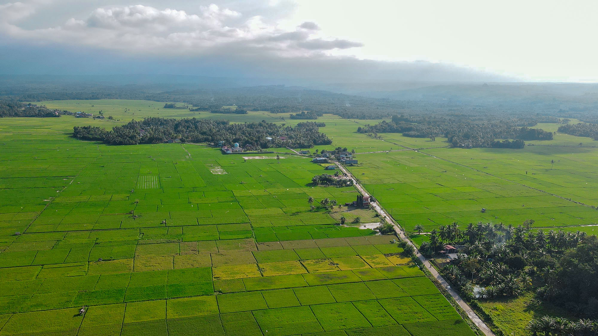 dji_fly_20221029_162004_531_1667035469352_photo.jpg