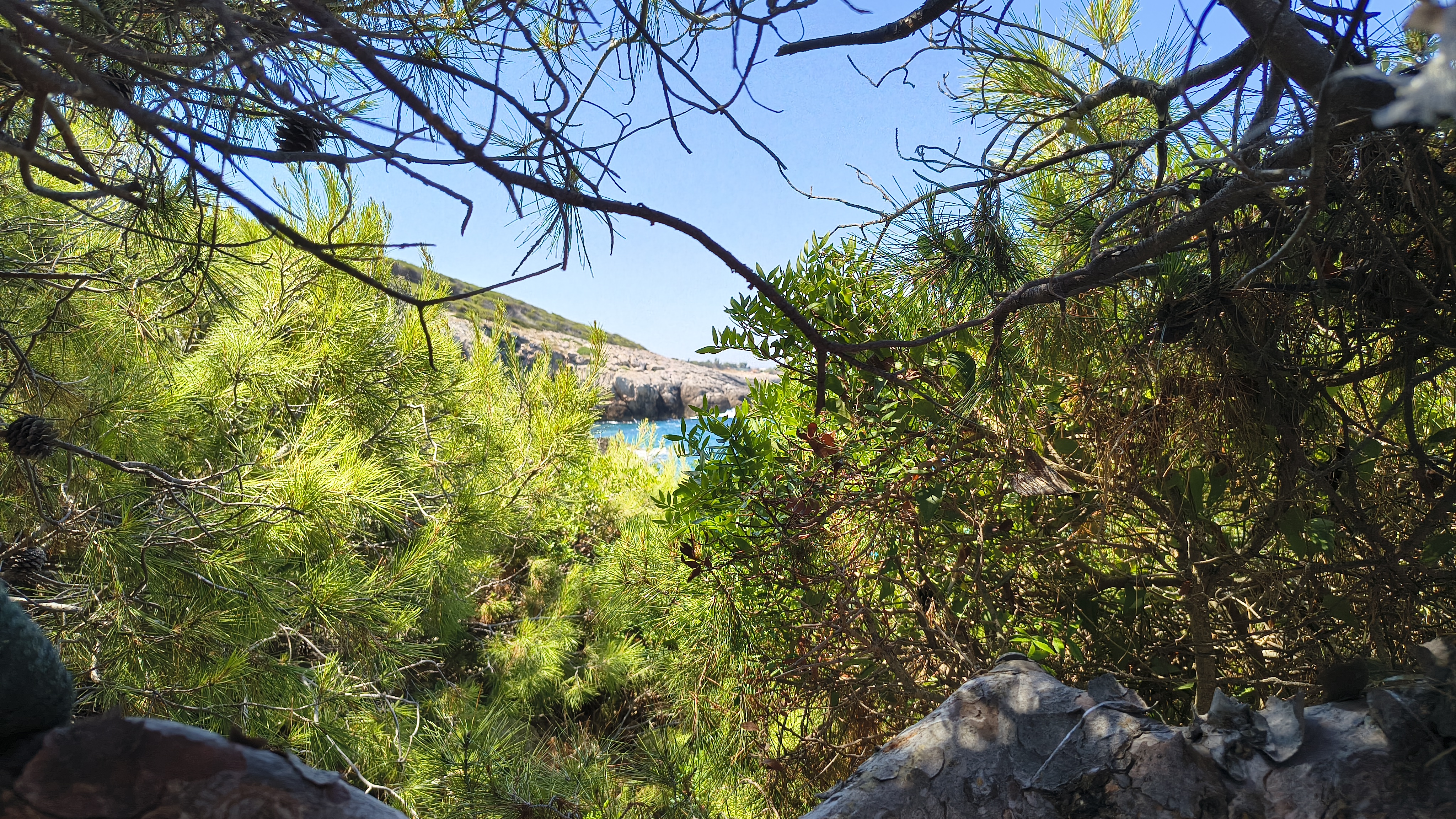 IMG_20250716_115118999_HDR.jpg