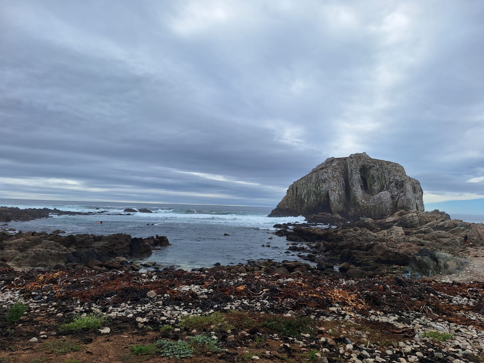 IMG-20231114-WA0115(1).jpg