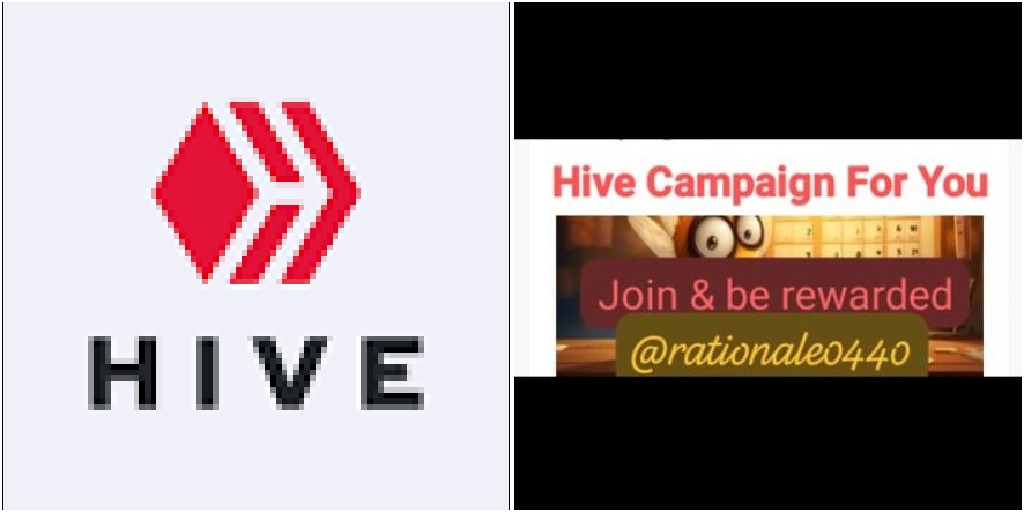 Cover Hive campaign 10102023163947.jpg