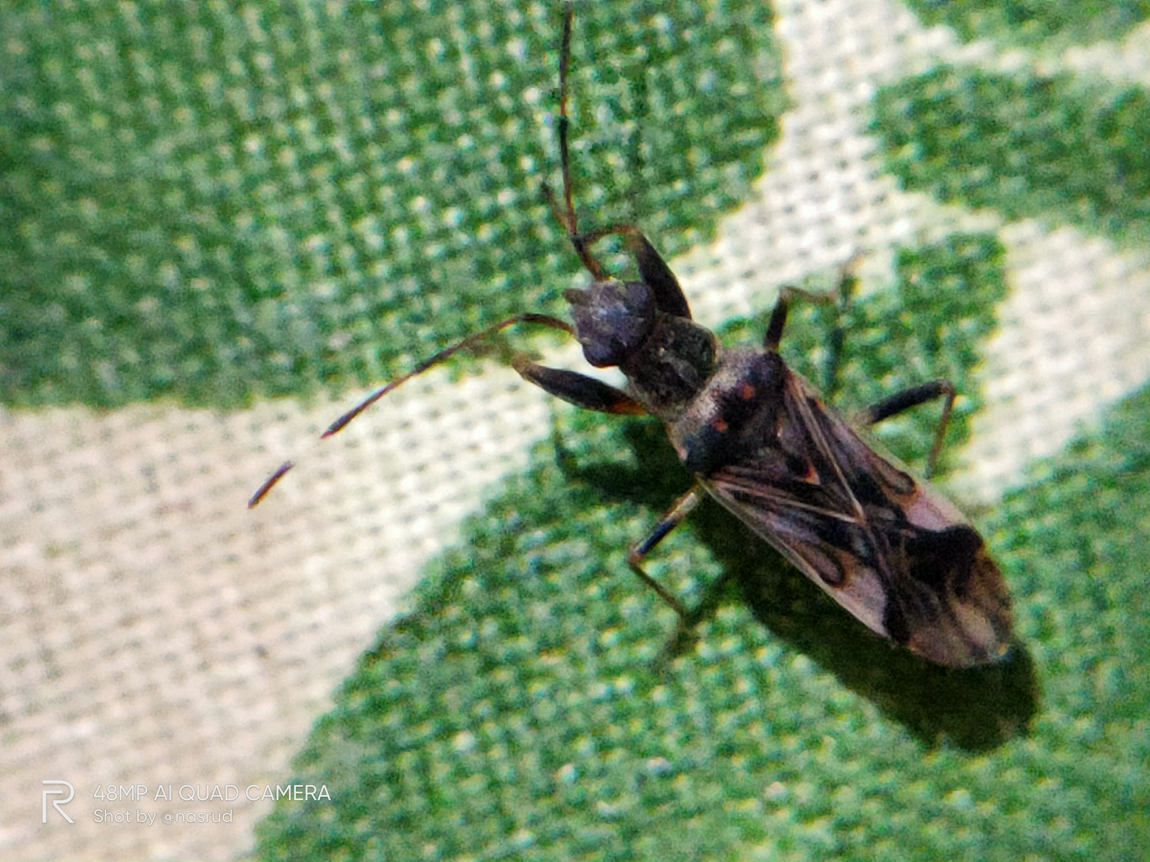 IMG20211001191829.jpg