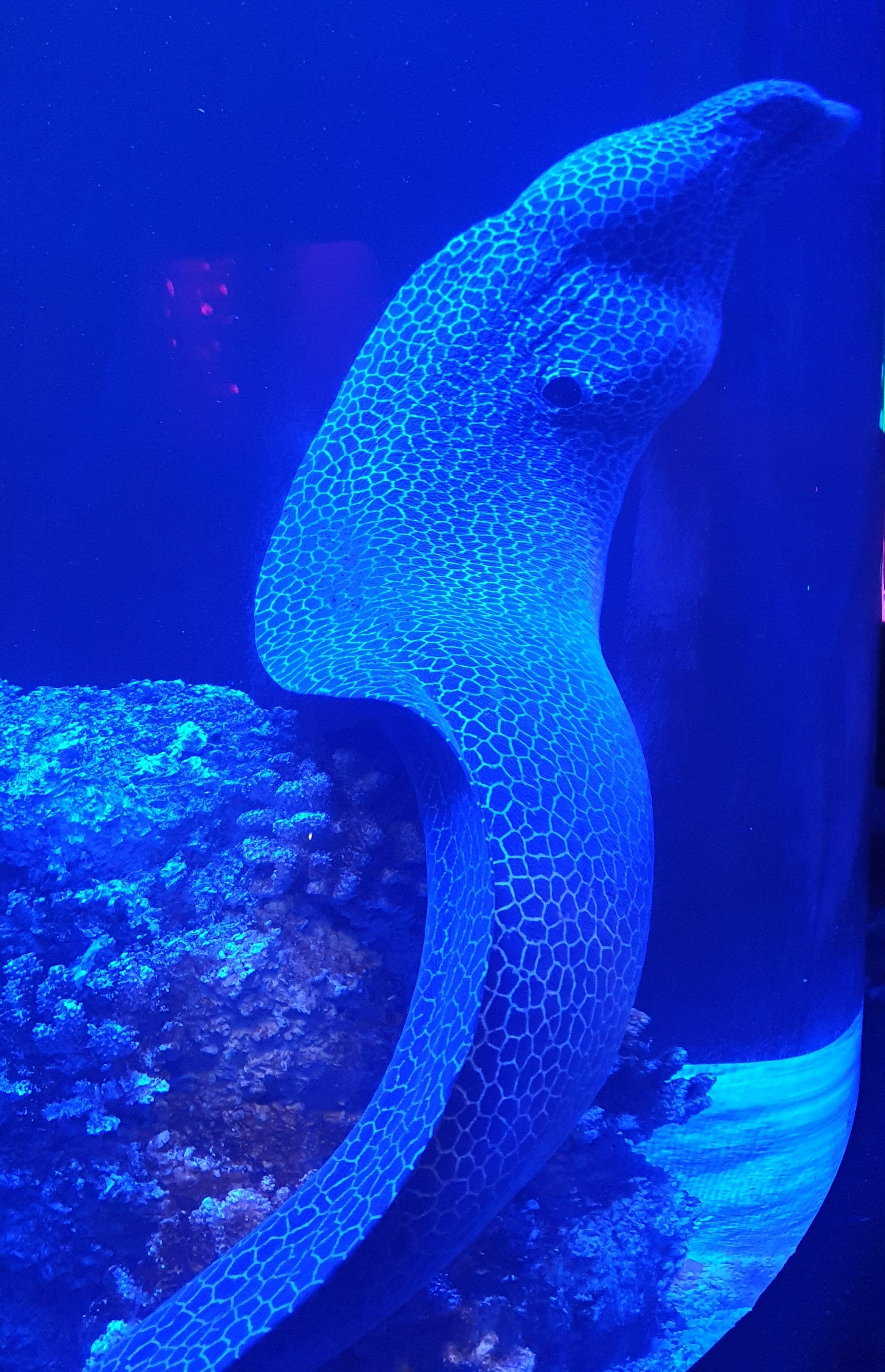 20221122_154810.jpg