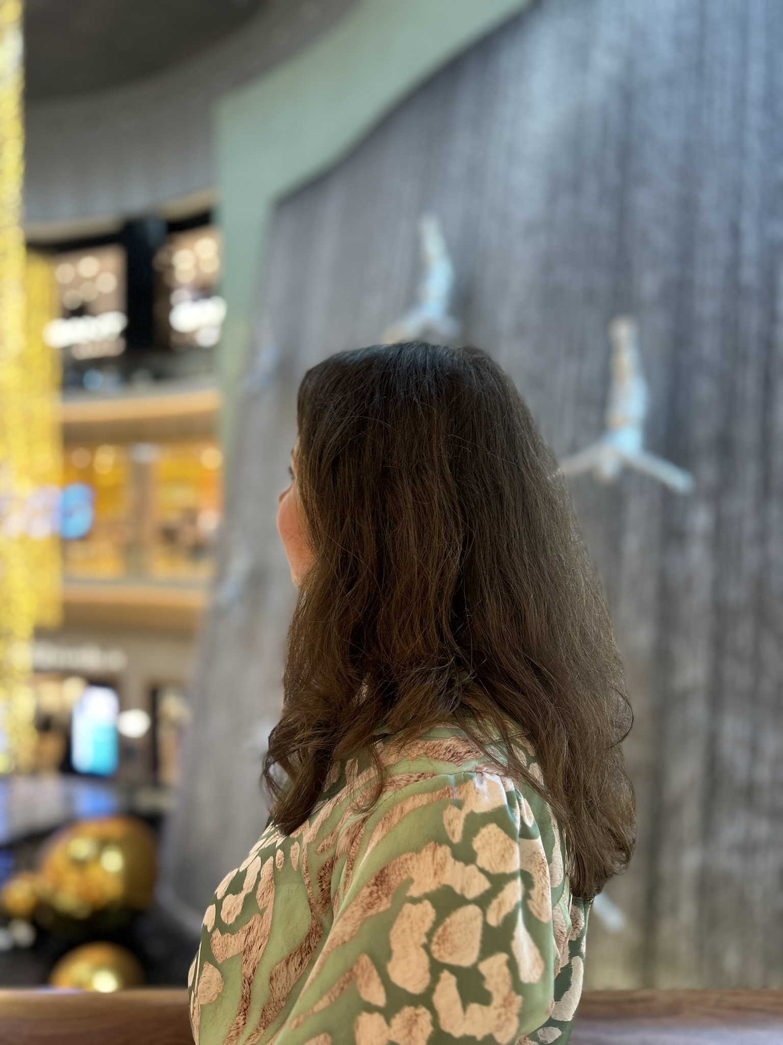 6. Dubai Mall waterfalls.JPEG