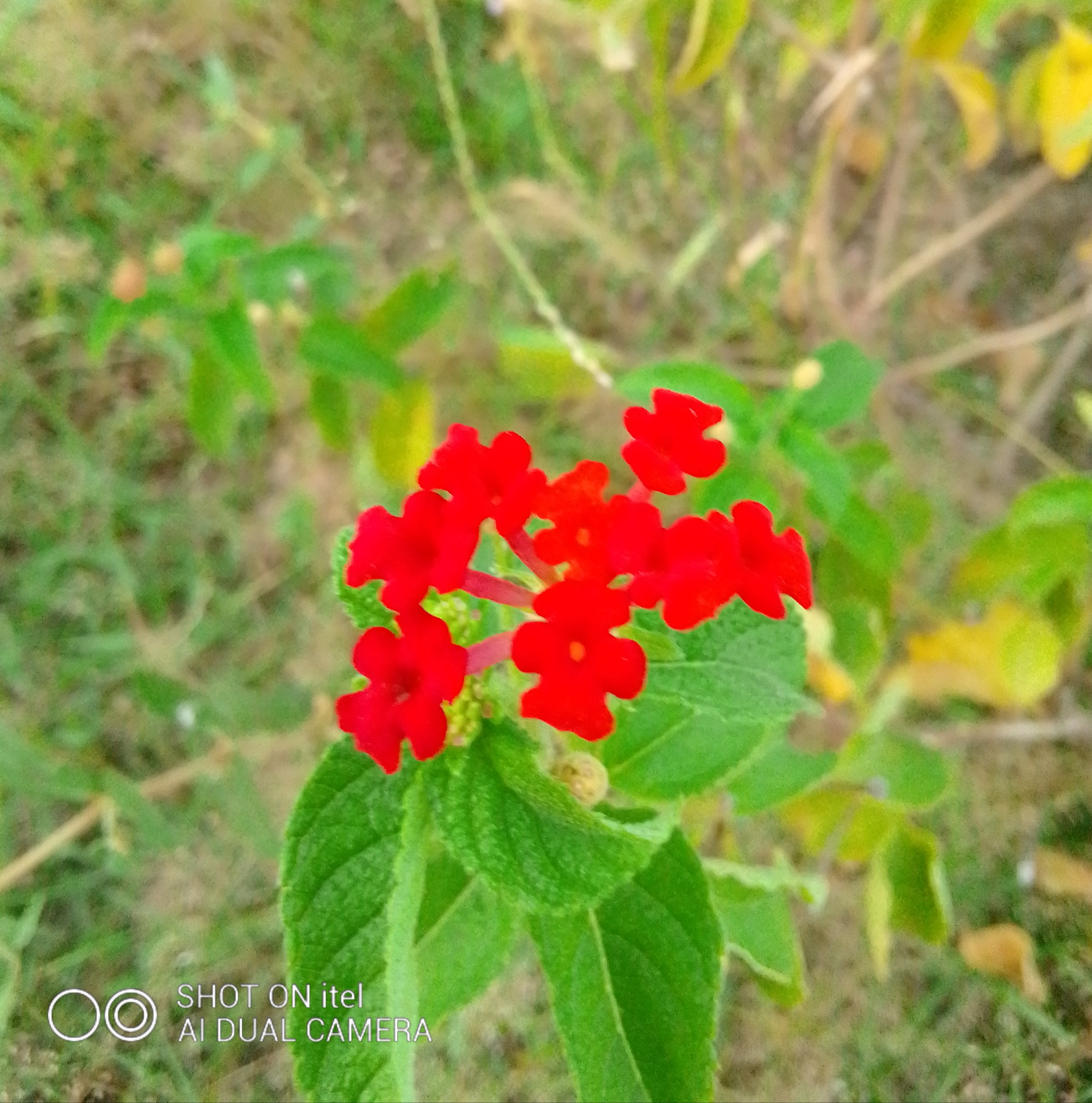 IMG_20220827_174548_689.jpg