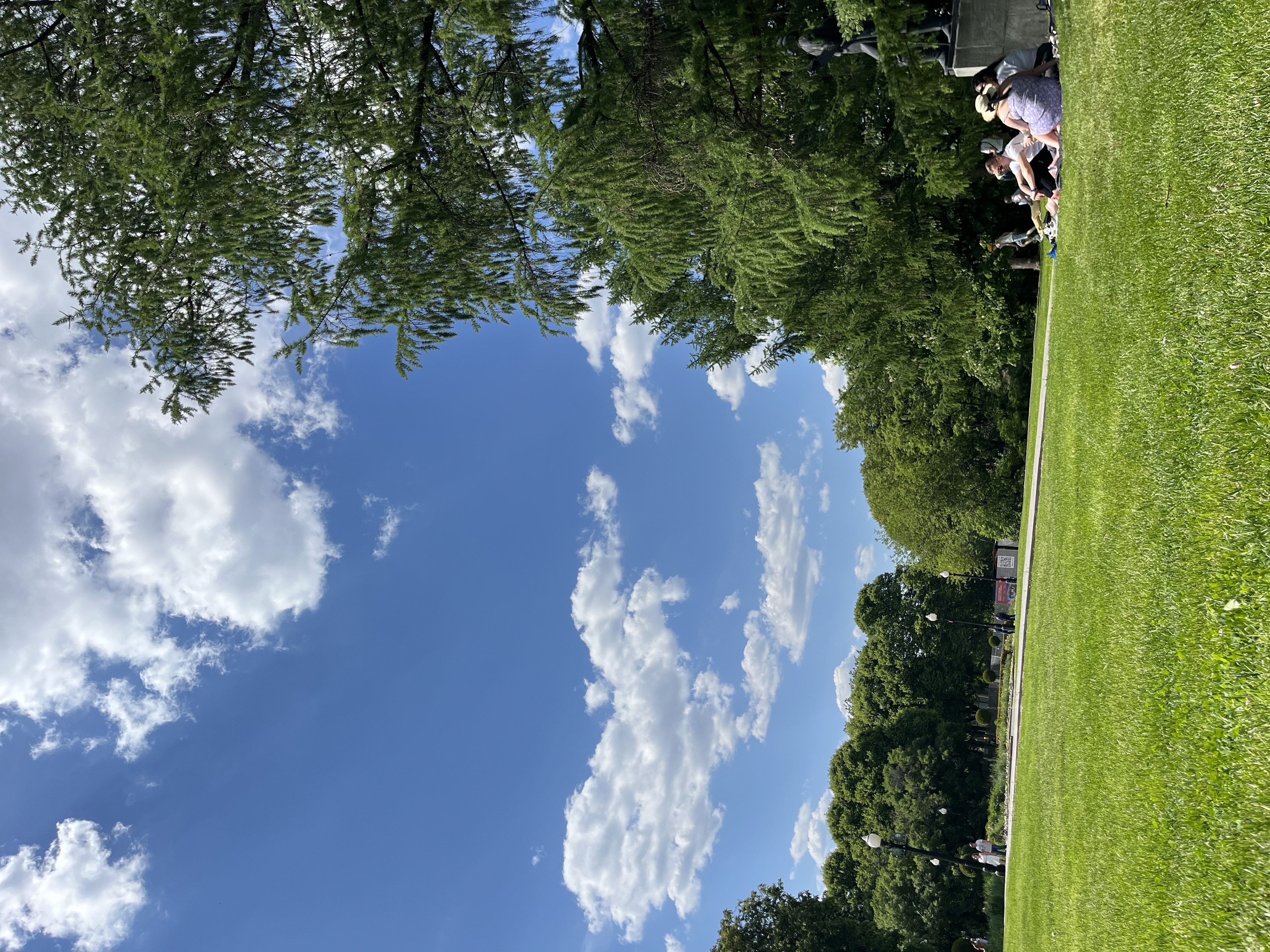 IMG_3391.jpeg