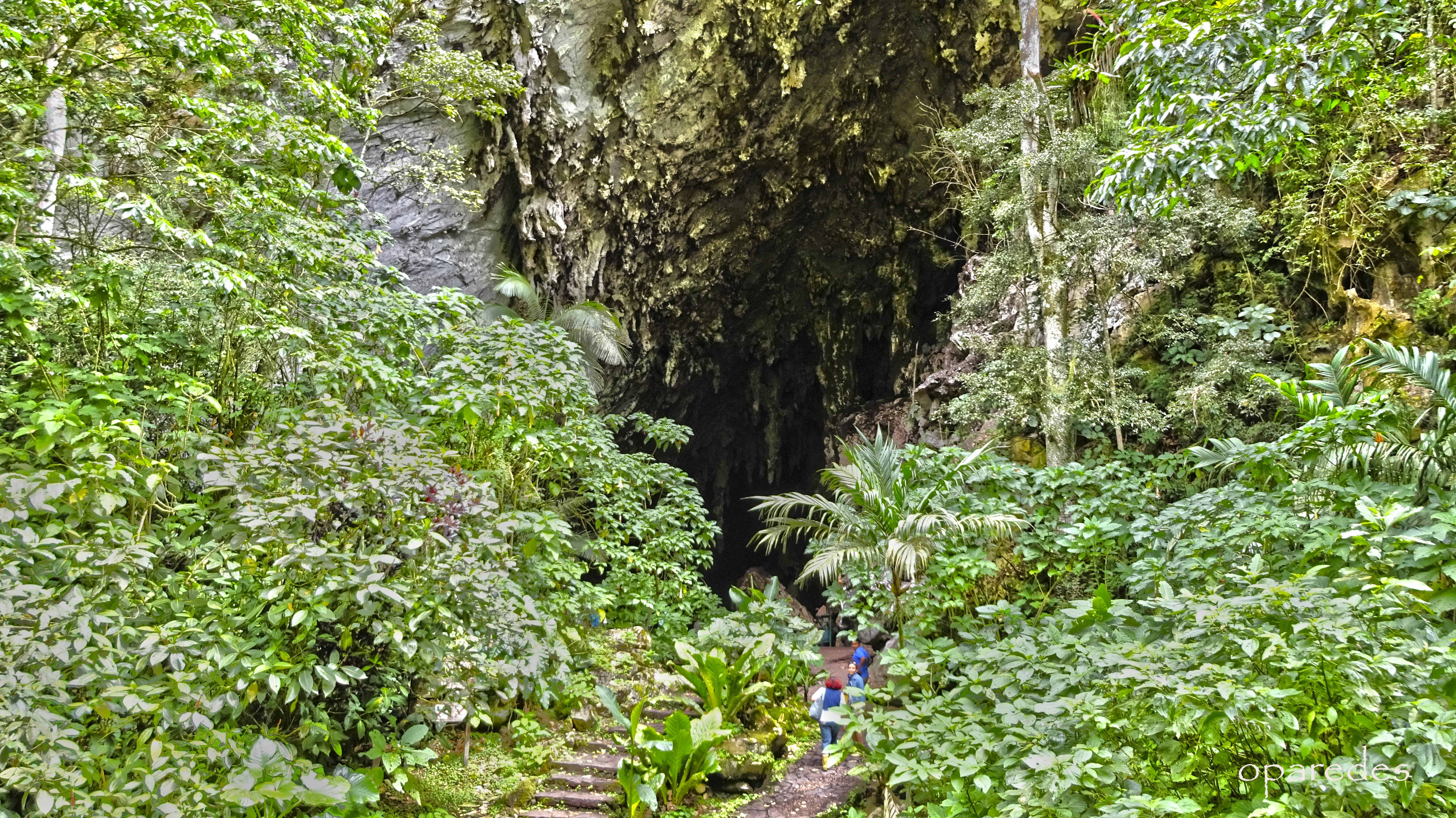 cuevas del guacharo (2).JPG