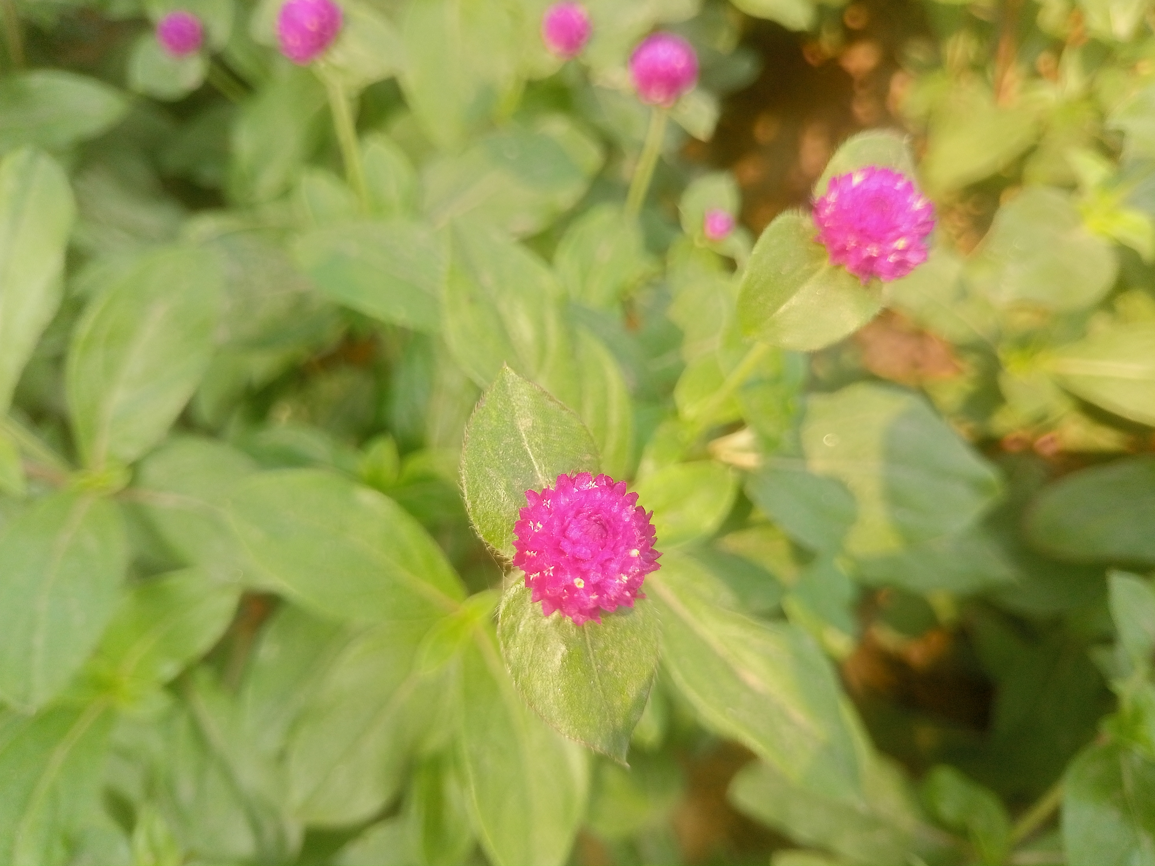 IMG20250429143819.jpg