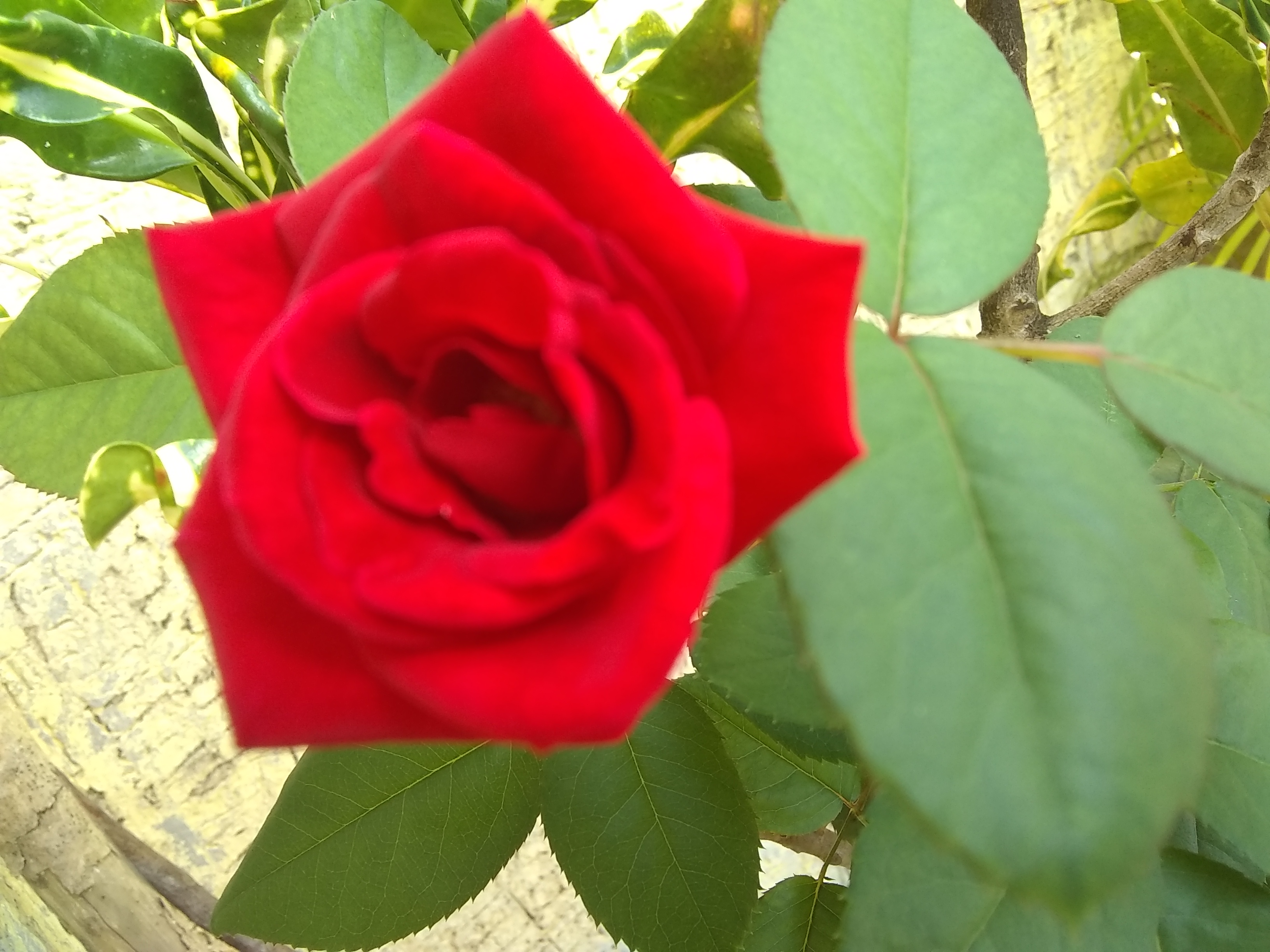 IMG_20220927_092731685.jpg