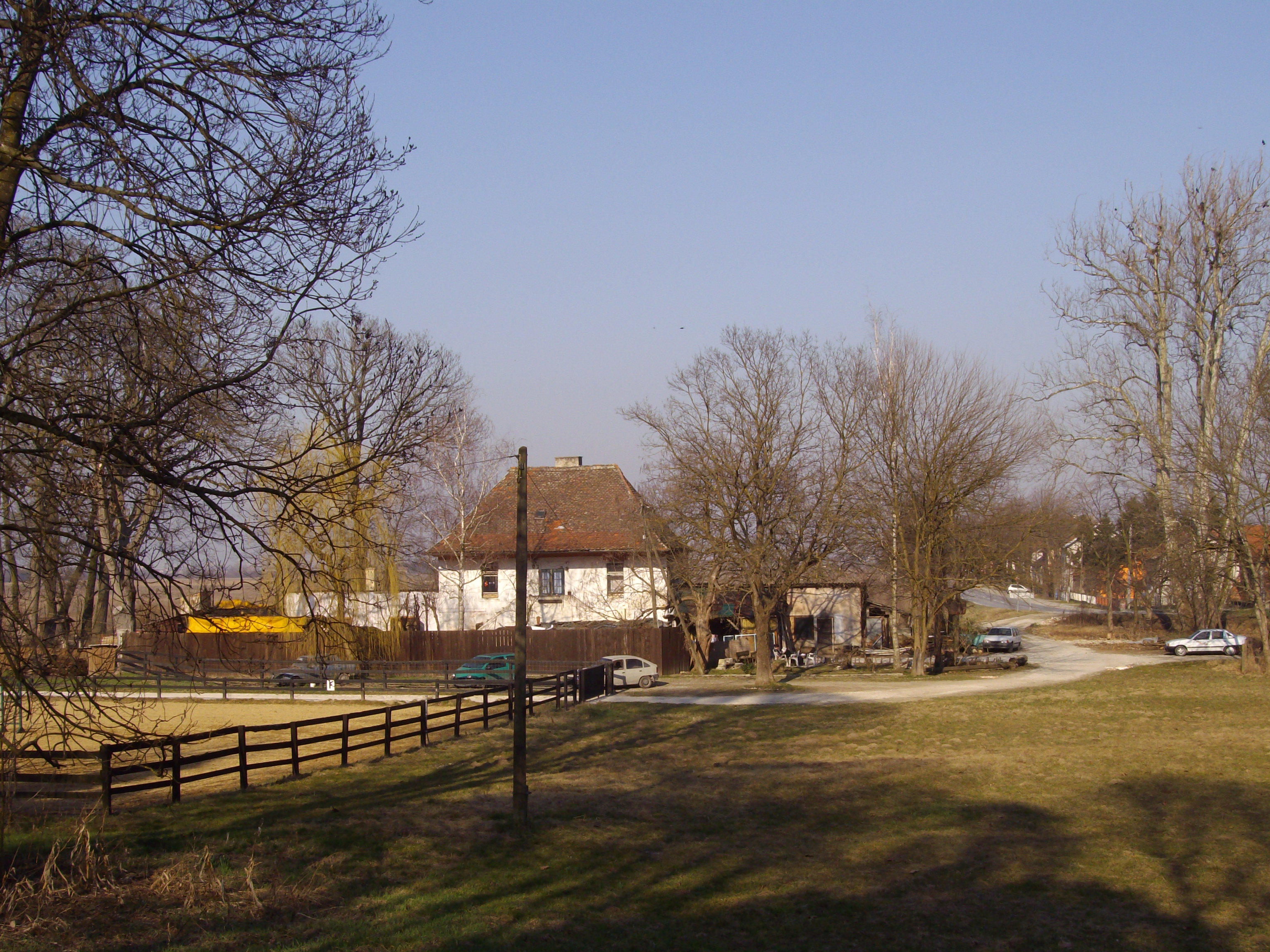 IMGP0406.JPG