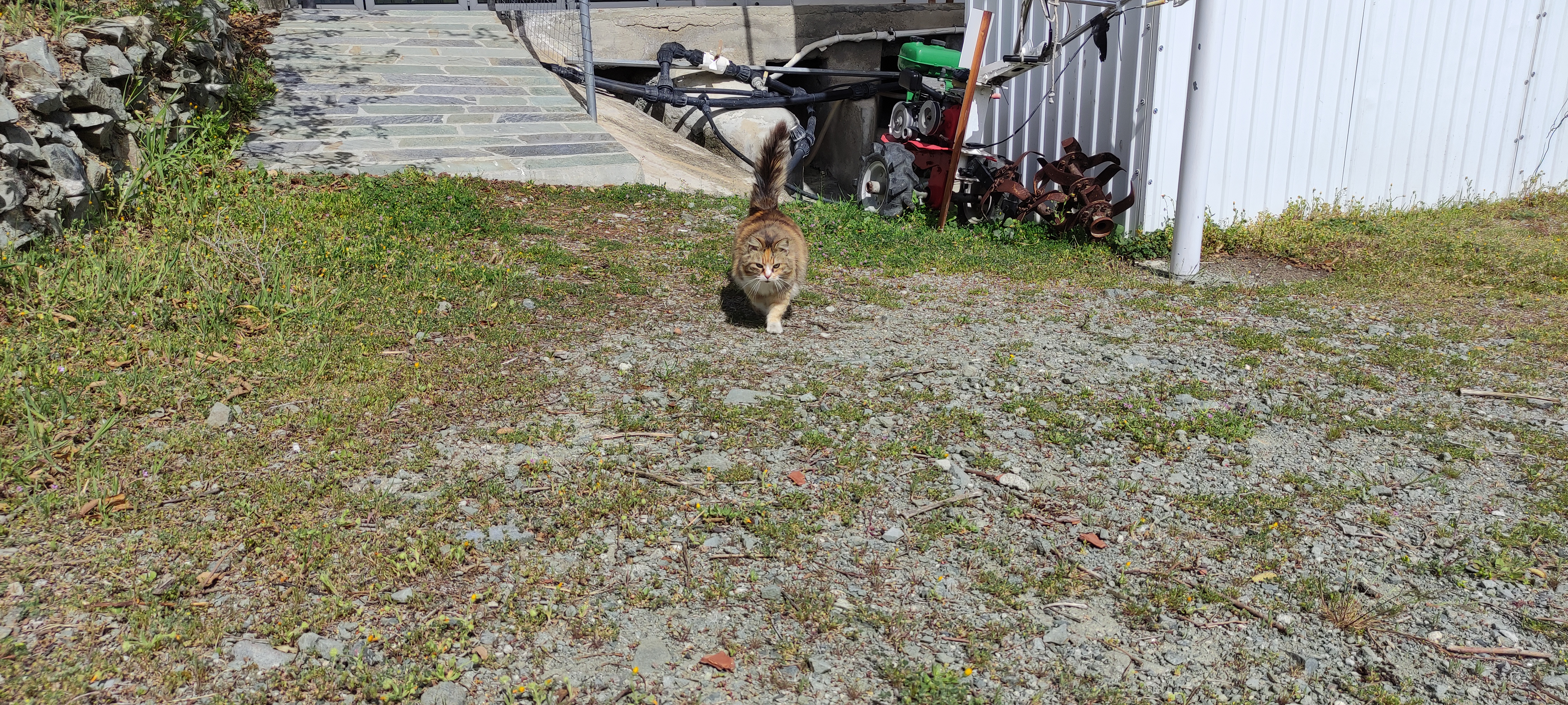 IMG_20250320_133305.jpg