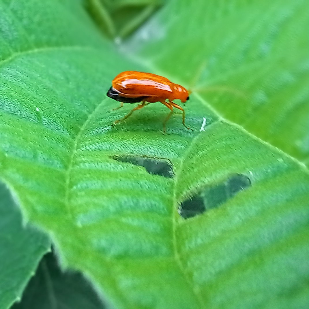 20250627_054441~2.jpg
