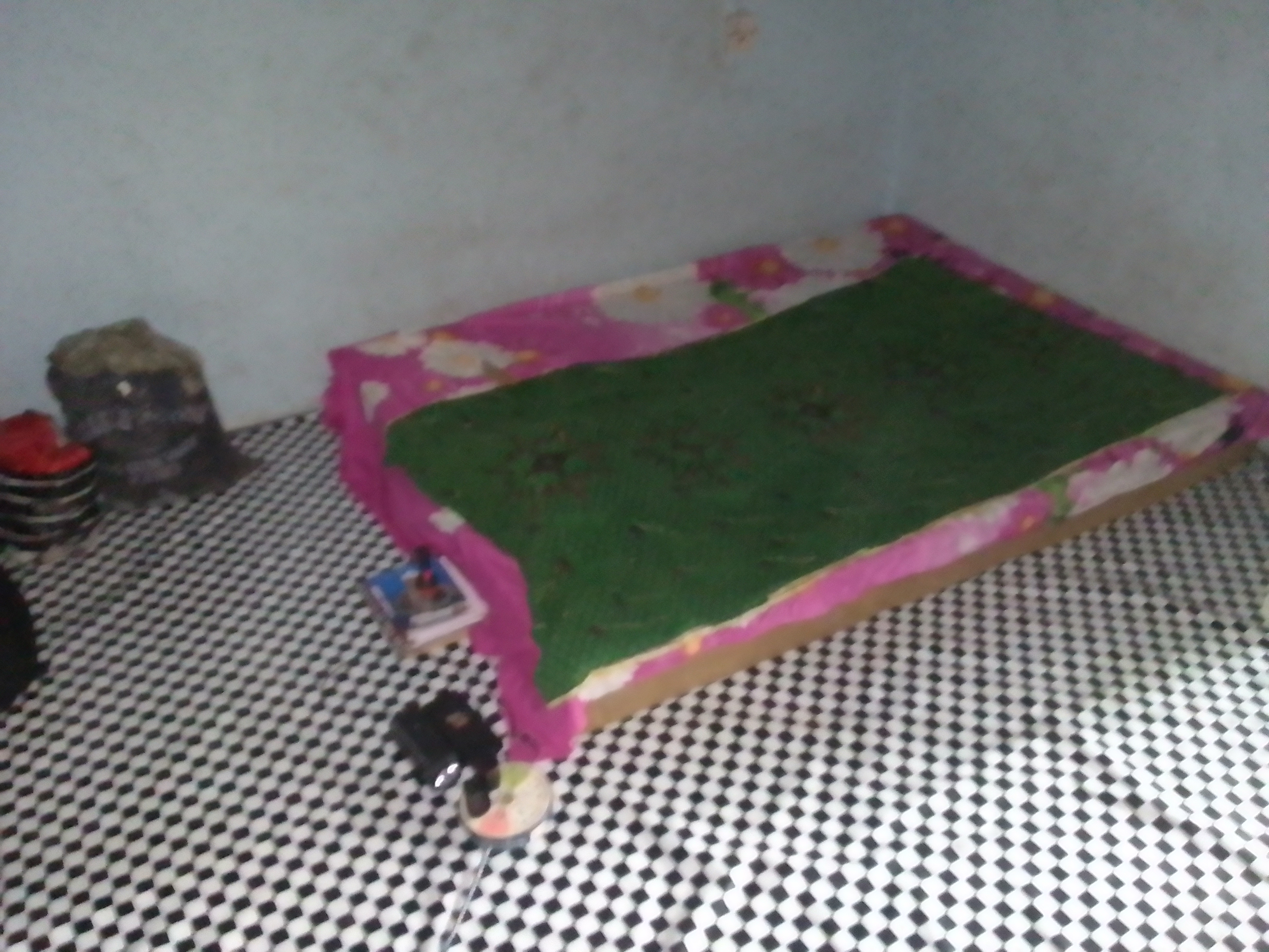 IMG_20250208_101902_440.jpg