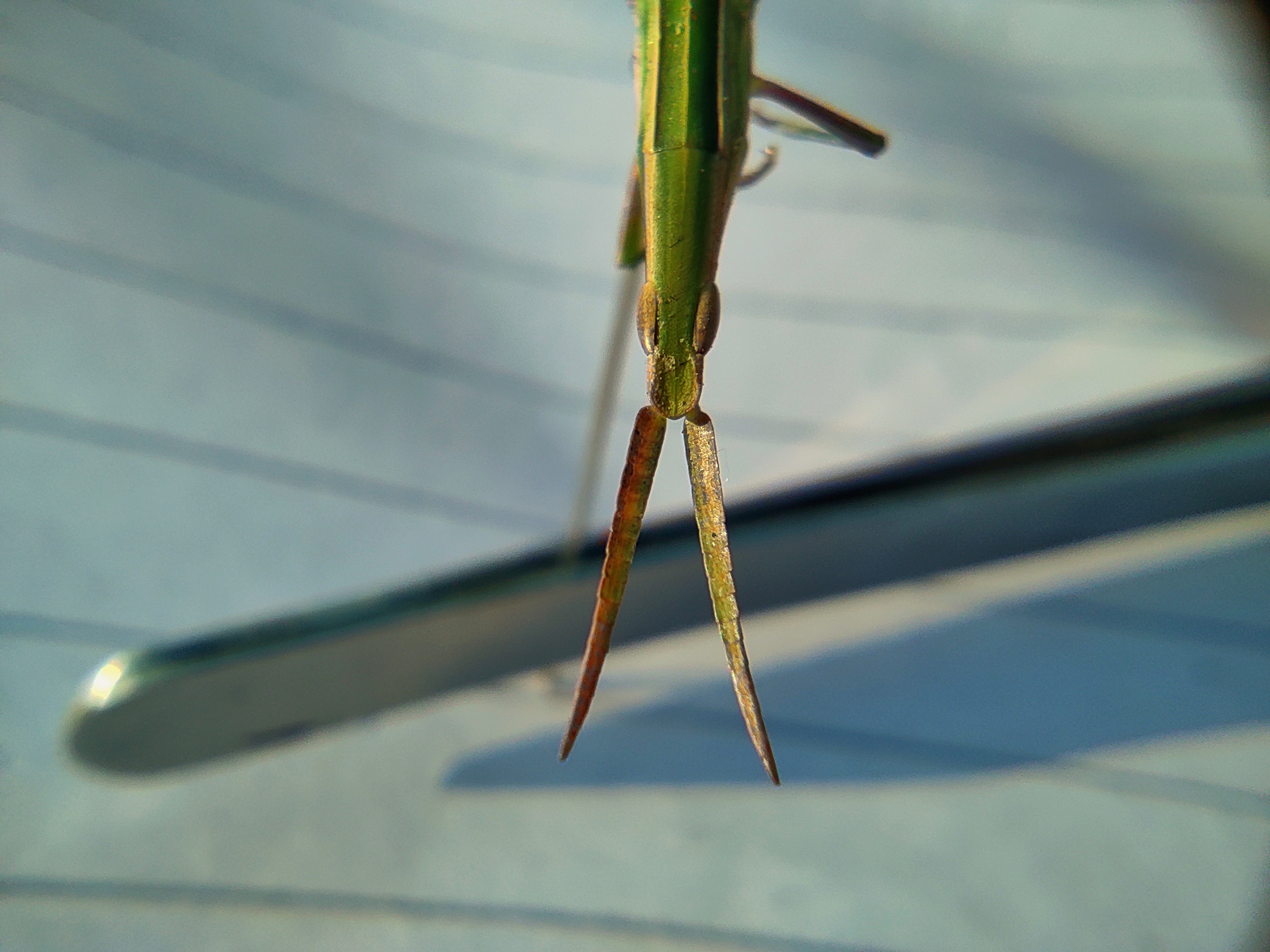 IMG_20201216_153511-01.jpeg