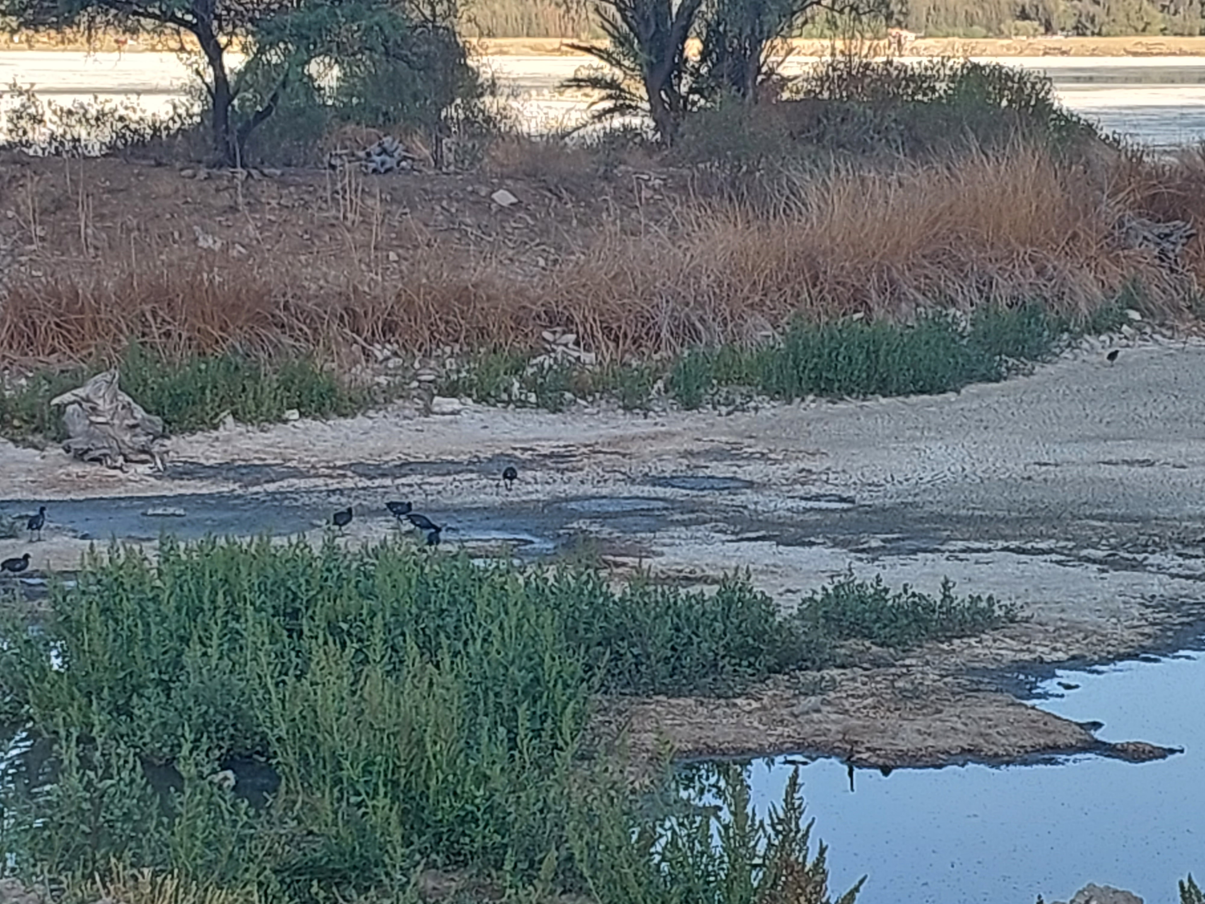 20231029_174218.jpg
