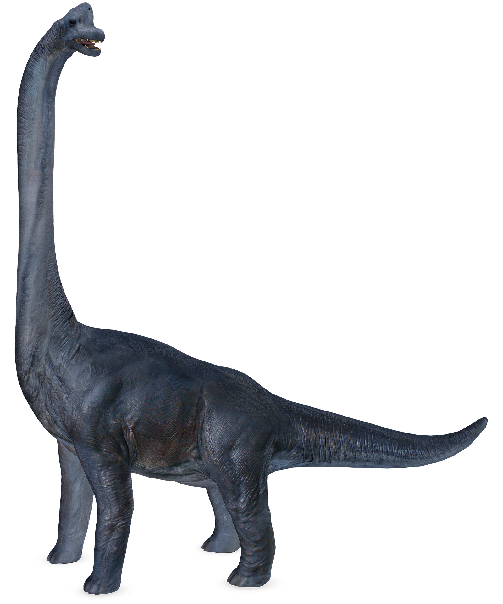 dinosaur-5674510_1920.png