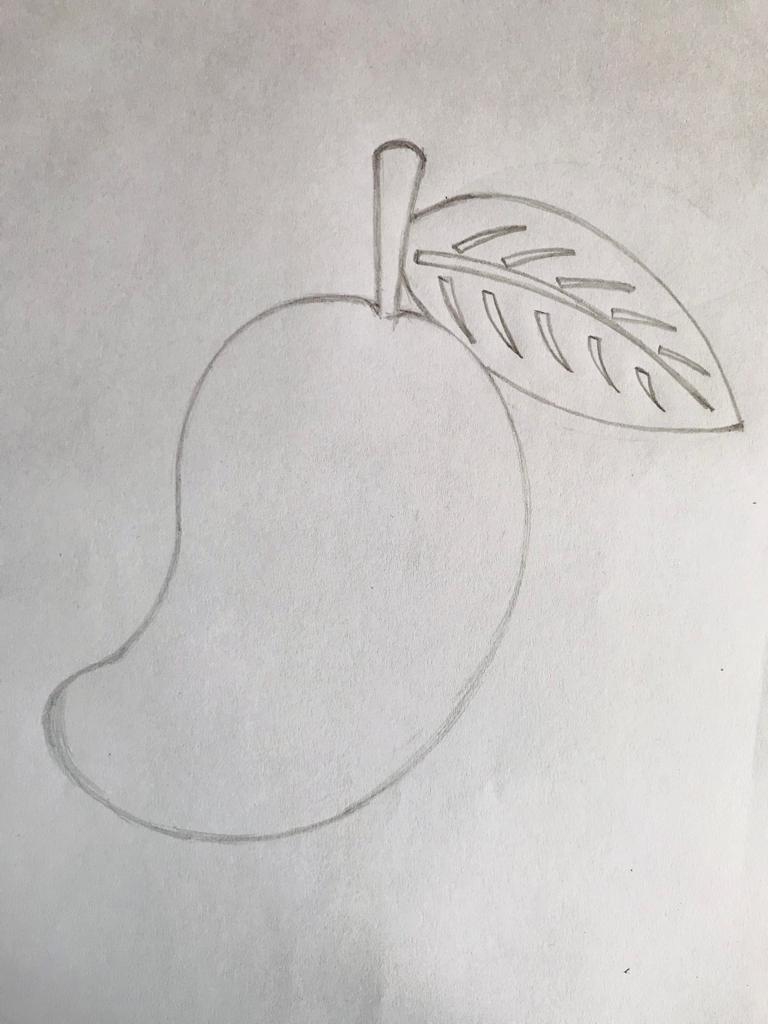 FR*Mango Drawing & Sketches for Kids | Fruits drawing, Art drawings for  kids, Drawing for kids