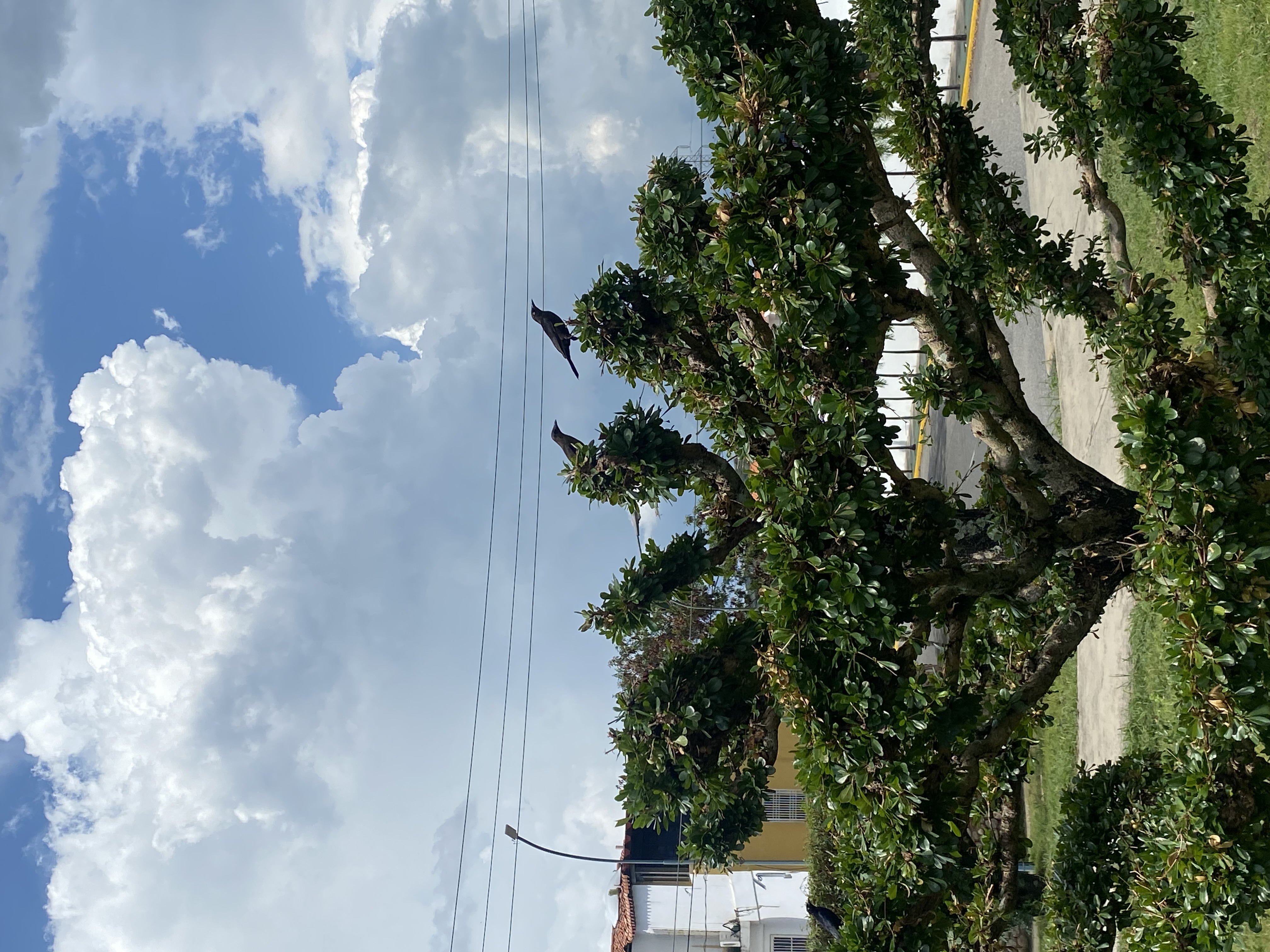 IMG_0262.jpeg