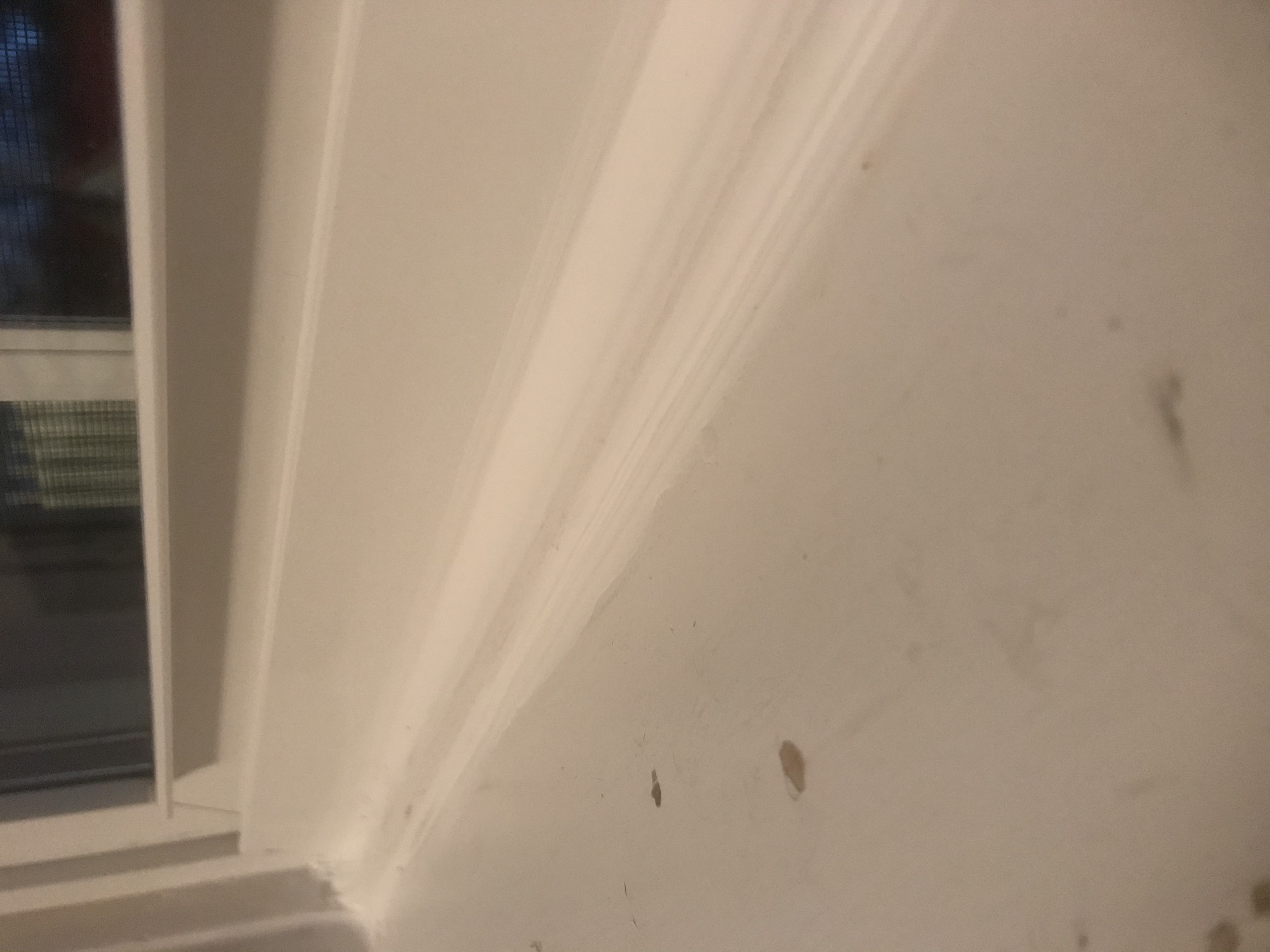 DC7FF871-67F3-4564-9845-8FAC1FAE2D15.jpeg