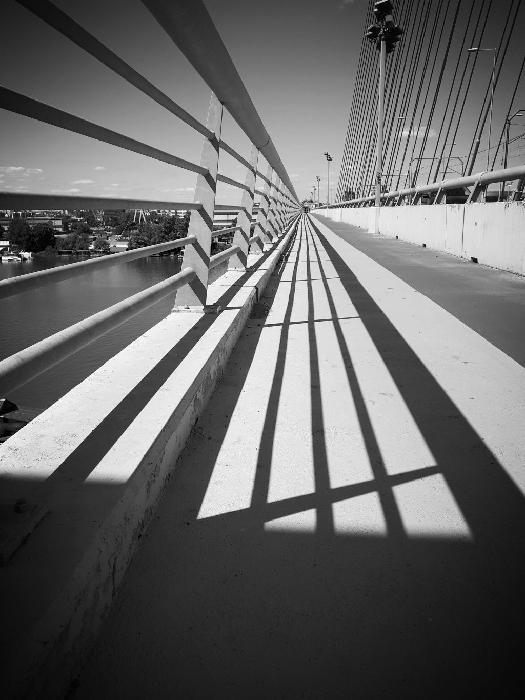 20210819_142925.jpg