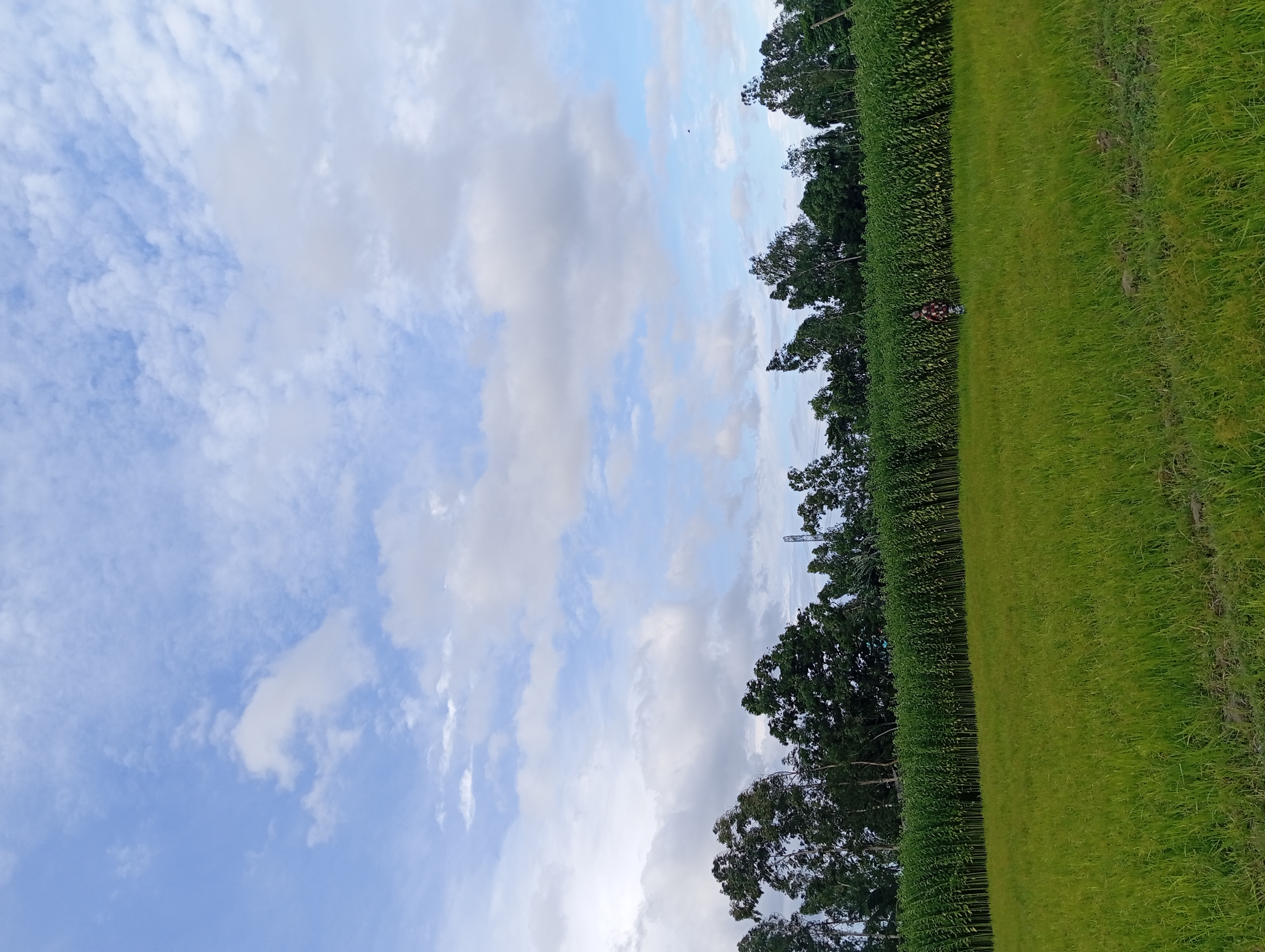 IMG_20250725_164002.jpg