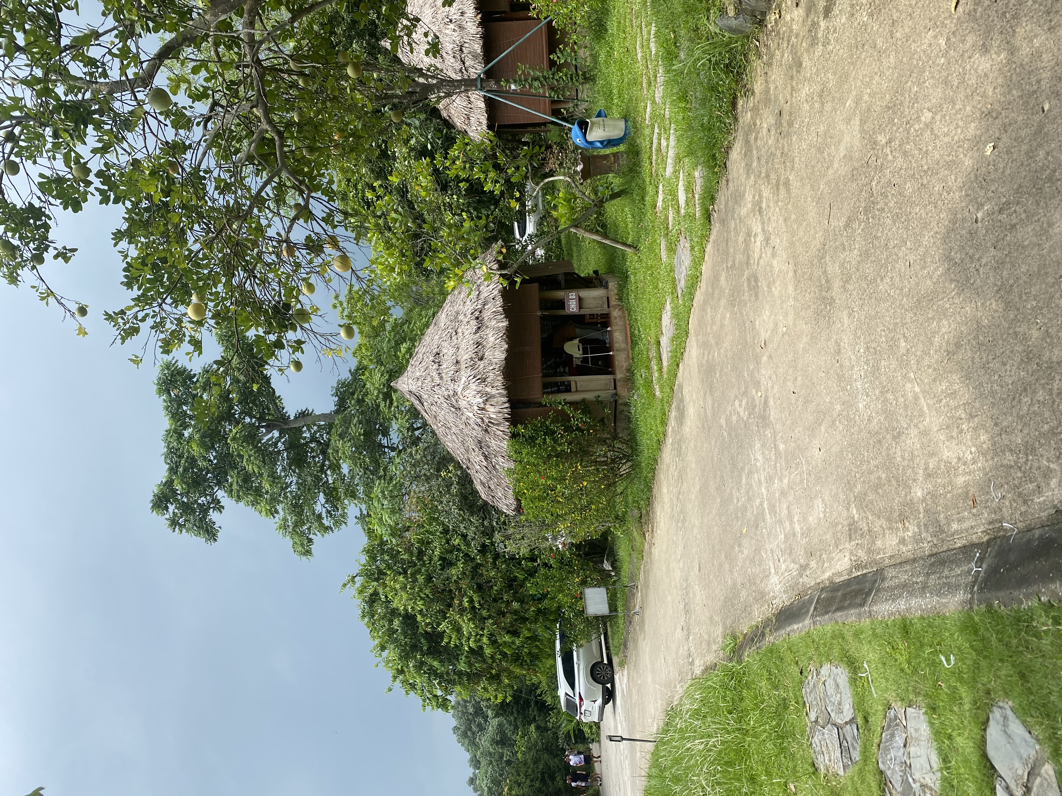 IMG_8415.jpeg