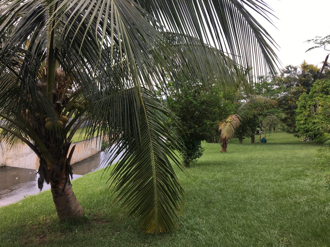 20EA54F5-2800-4486-904D-81775B01508D.jpeg