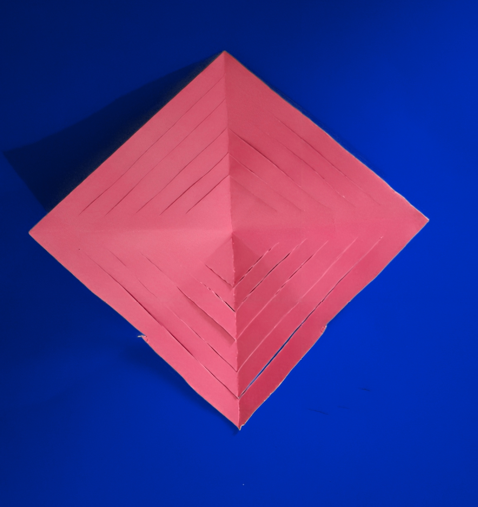 20231209_181234_532.jpg