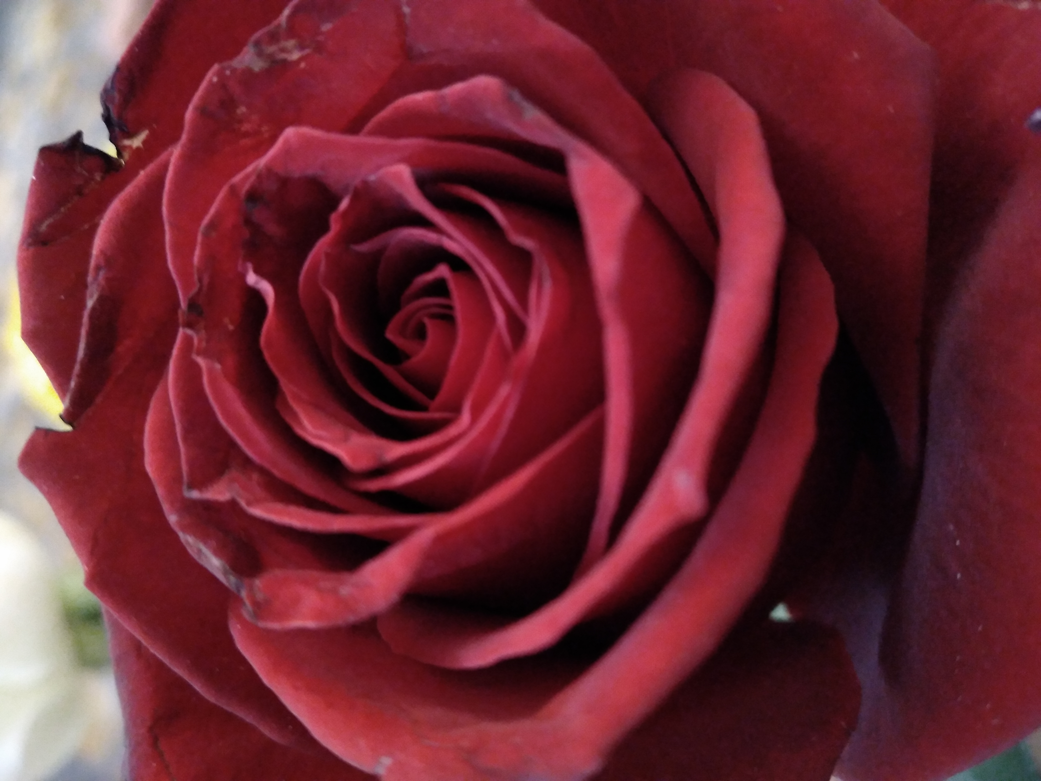 20230501_222824.jpg
