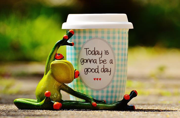 beautiful-day-joy-frog-coffee-preview.jpg