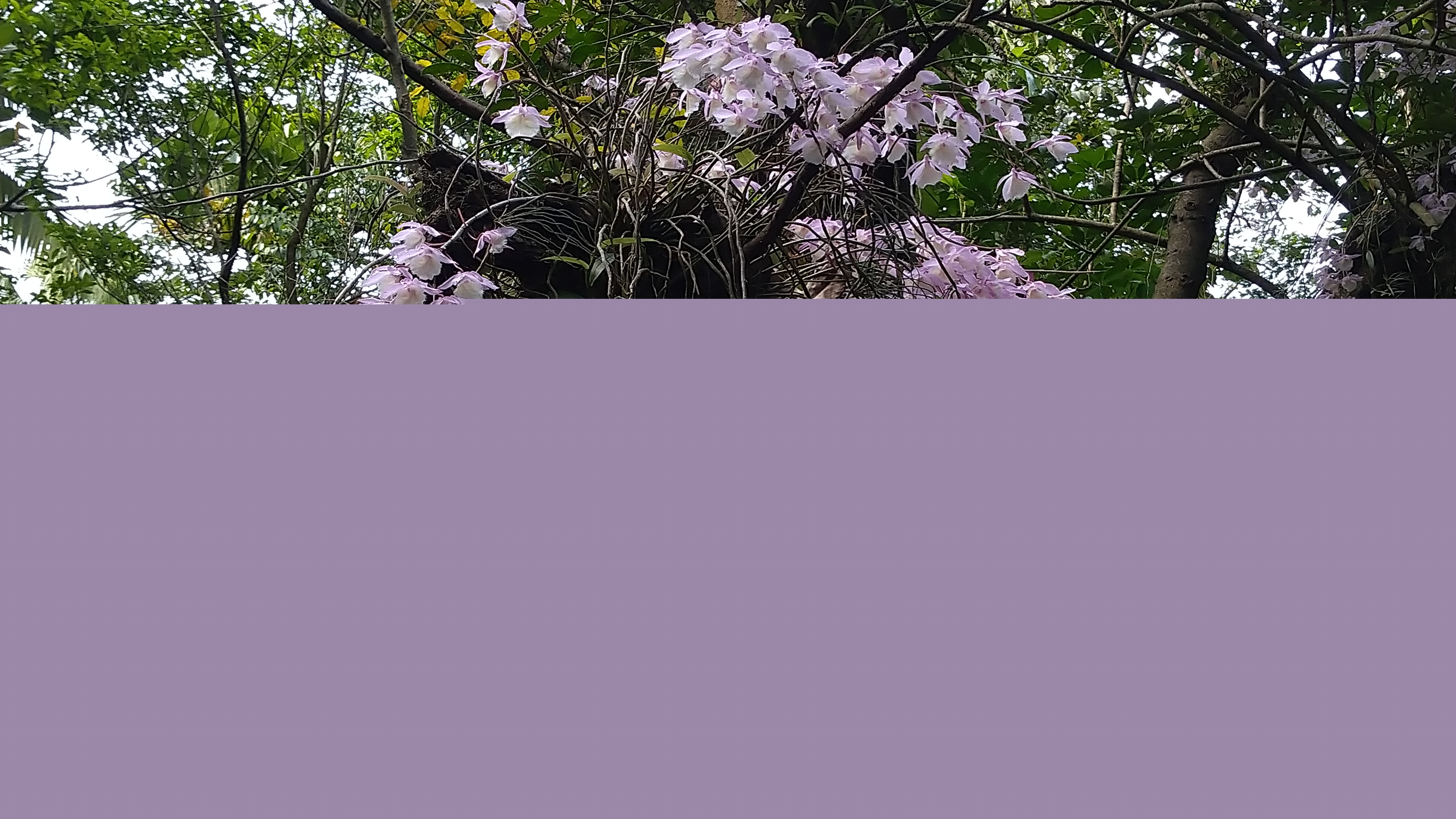 DSC_1154.JPG