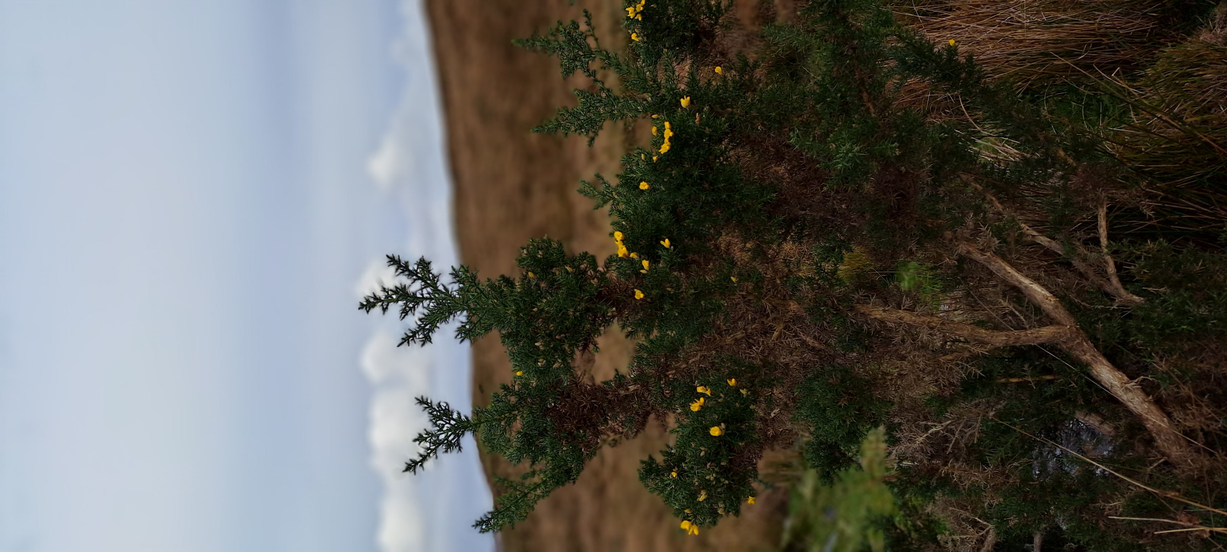 20231021_163946.jpg