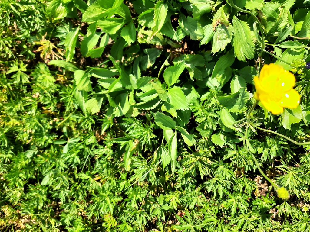 20250608_112218.jpg