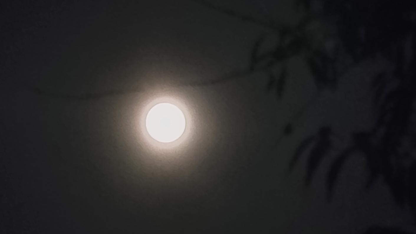 20240918_200454.jpg
