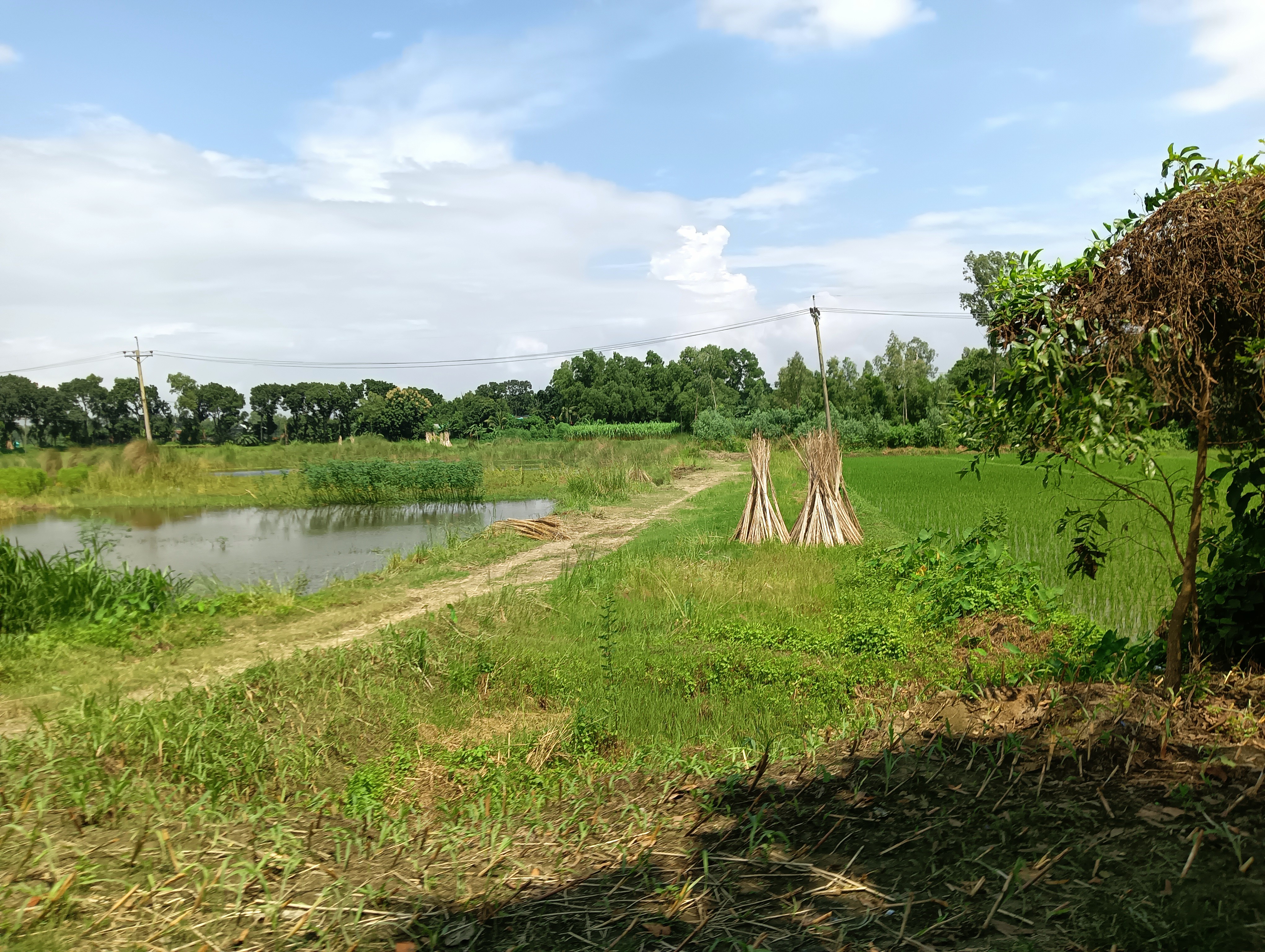 IMG20250822135411.jpg