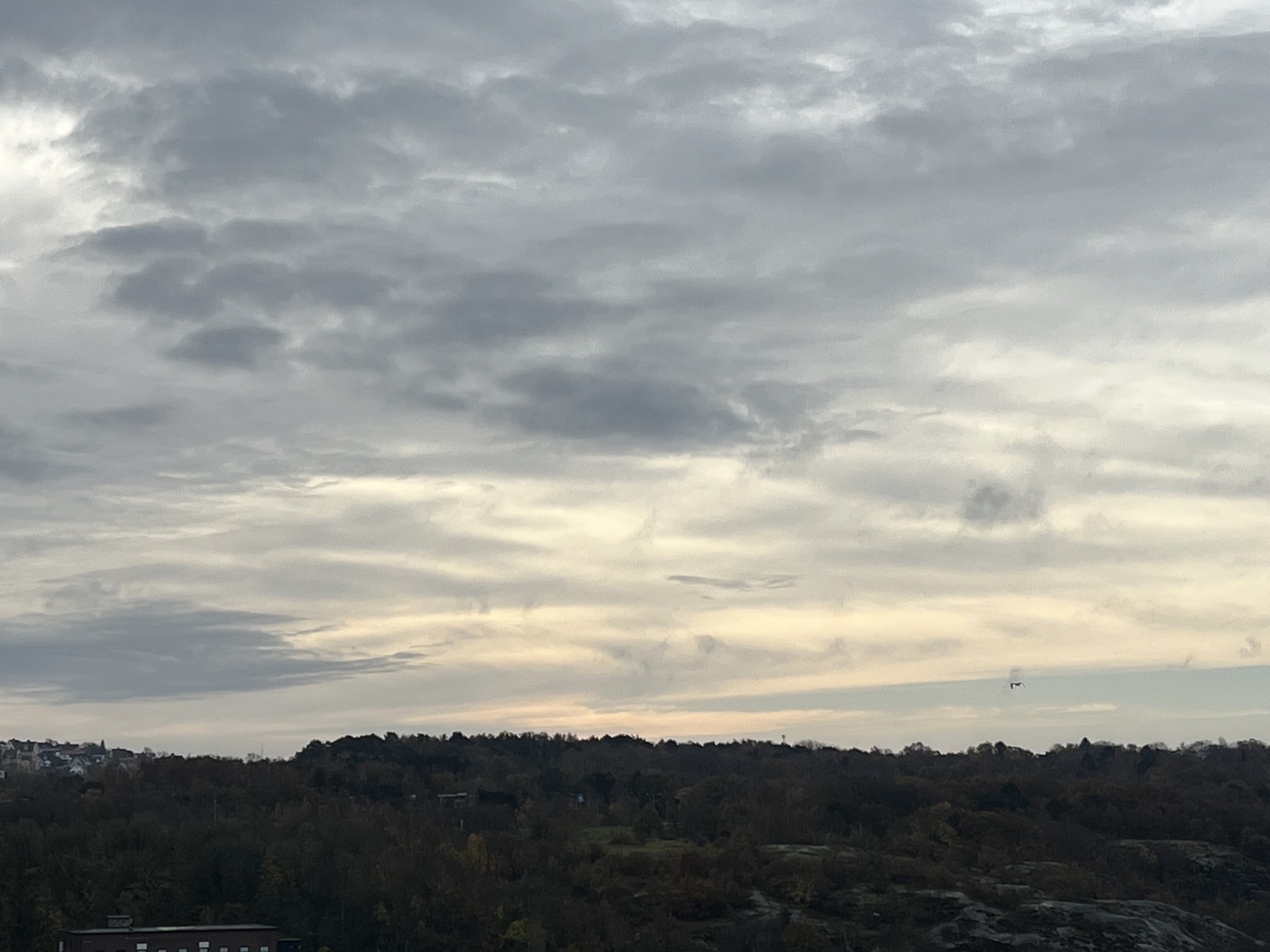 IMG_0881.jpeg