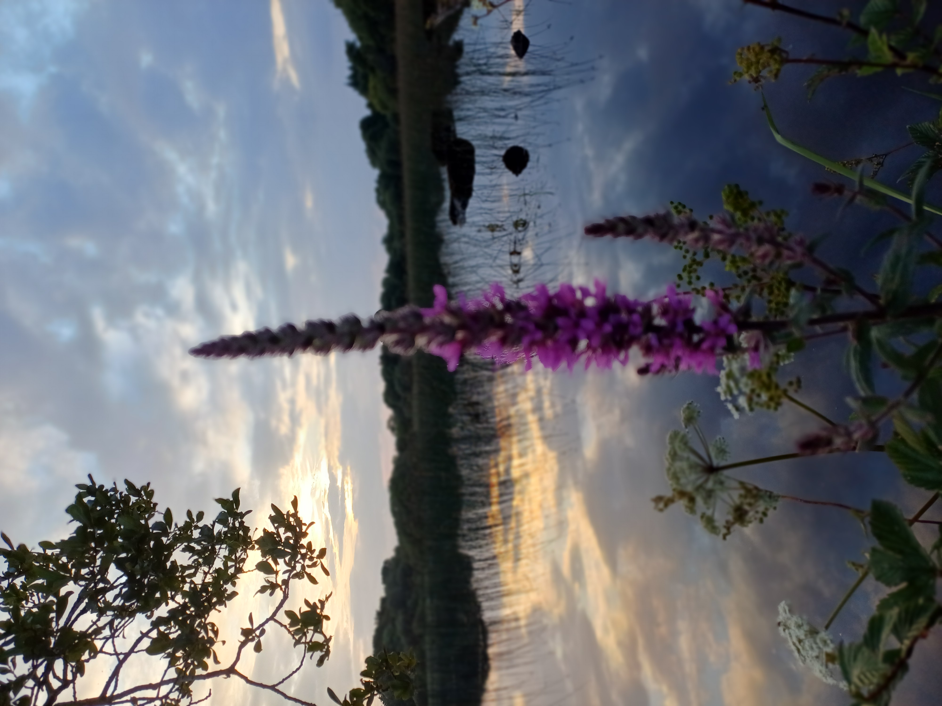 20250722_210022.jpg