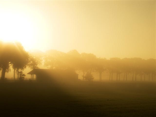 Silhouette sunrise playfulfoodie