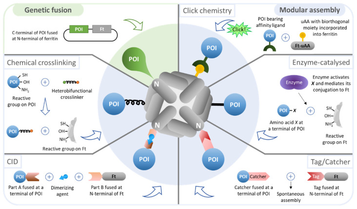 pharmaceutics-13-01621-g003.jpg