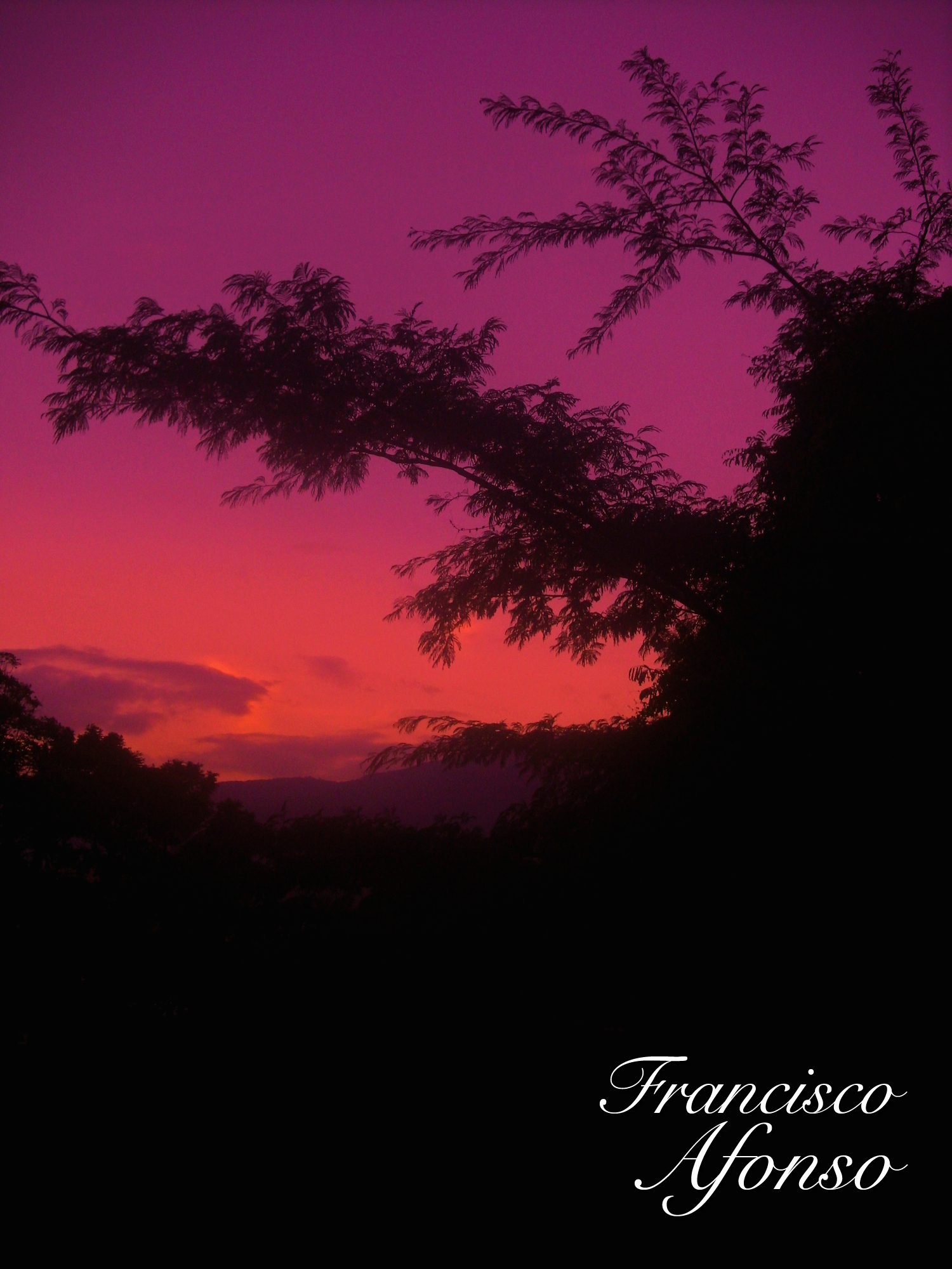 purple and red.JPG