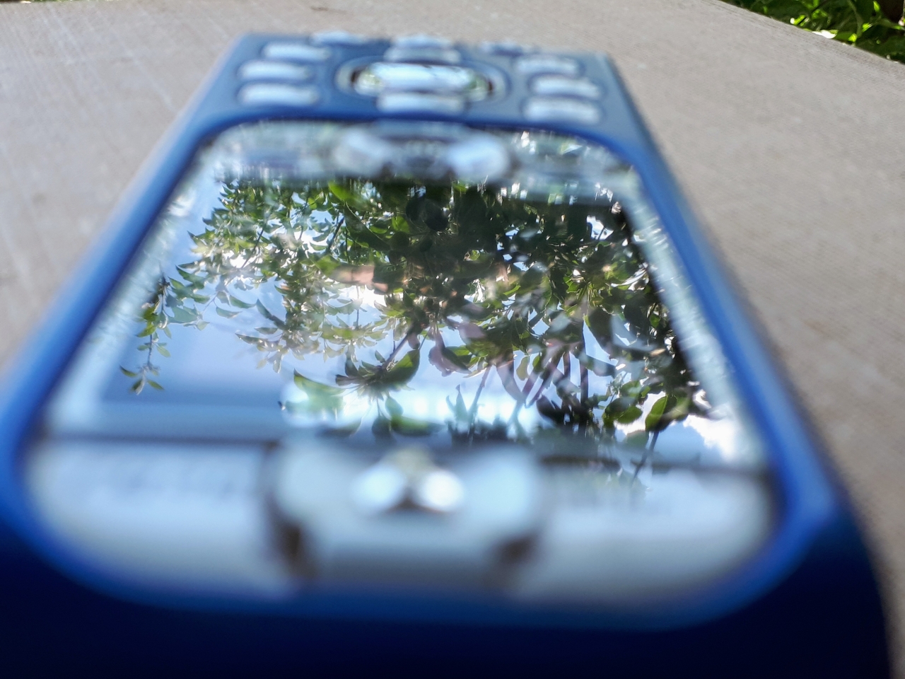 20250511_143642.jpg