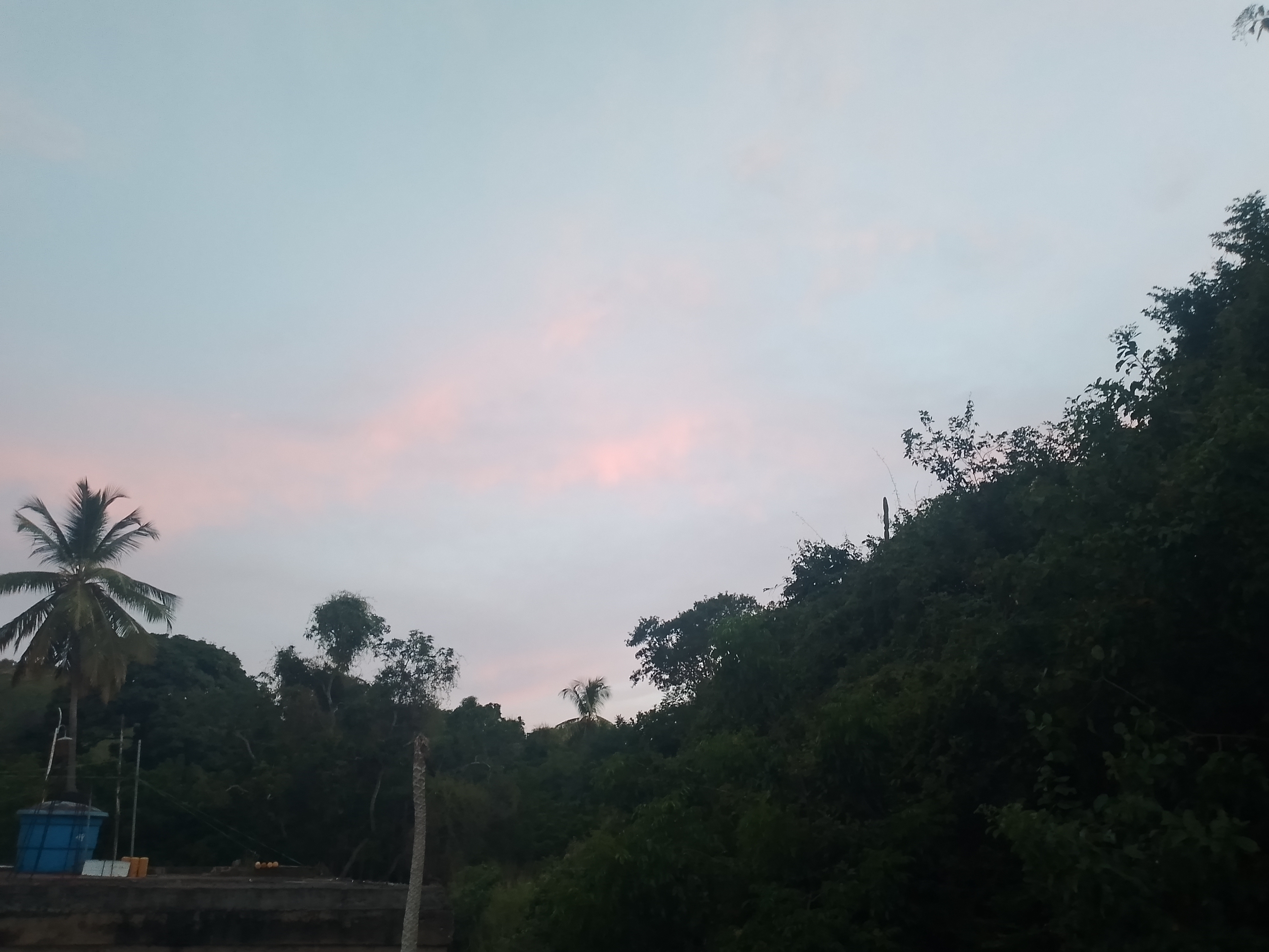 IMG_20250819_183454_355.jpg