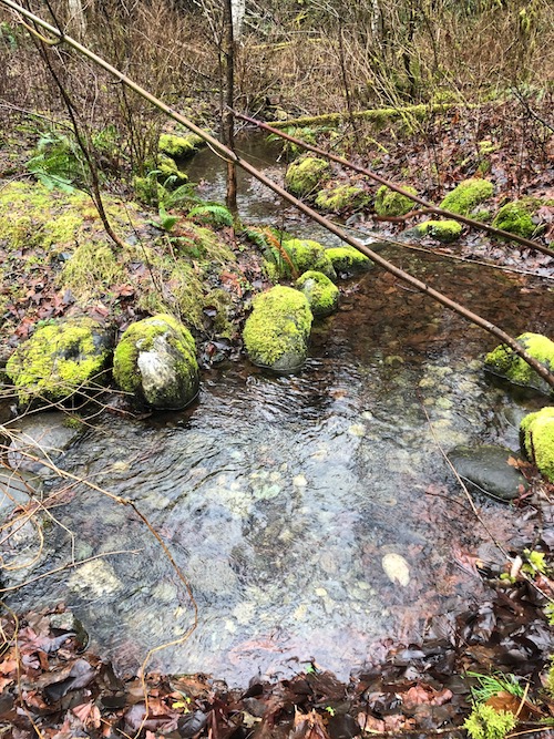stream.jpg