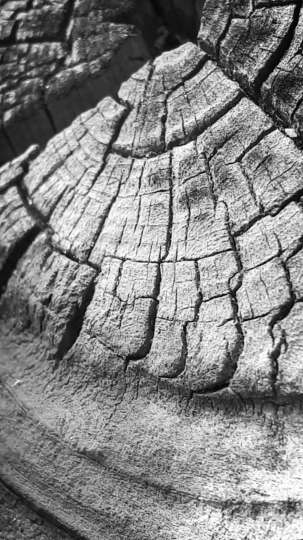 20250428_113732_bw.jpg