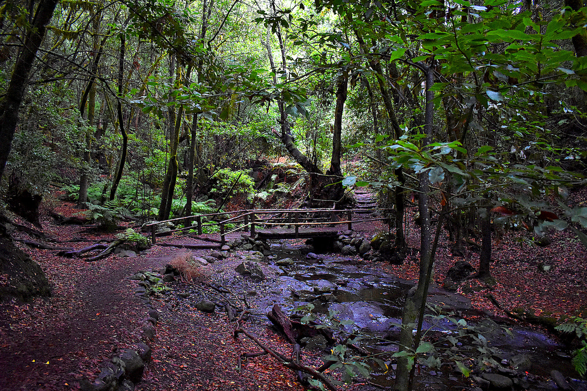 La-Gomera-41.jpg