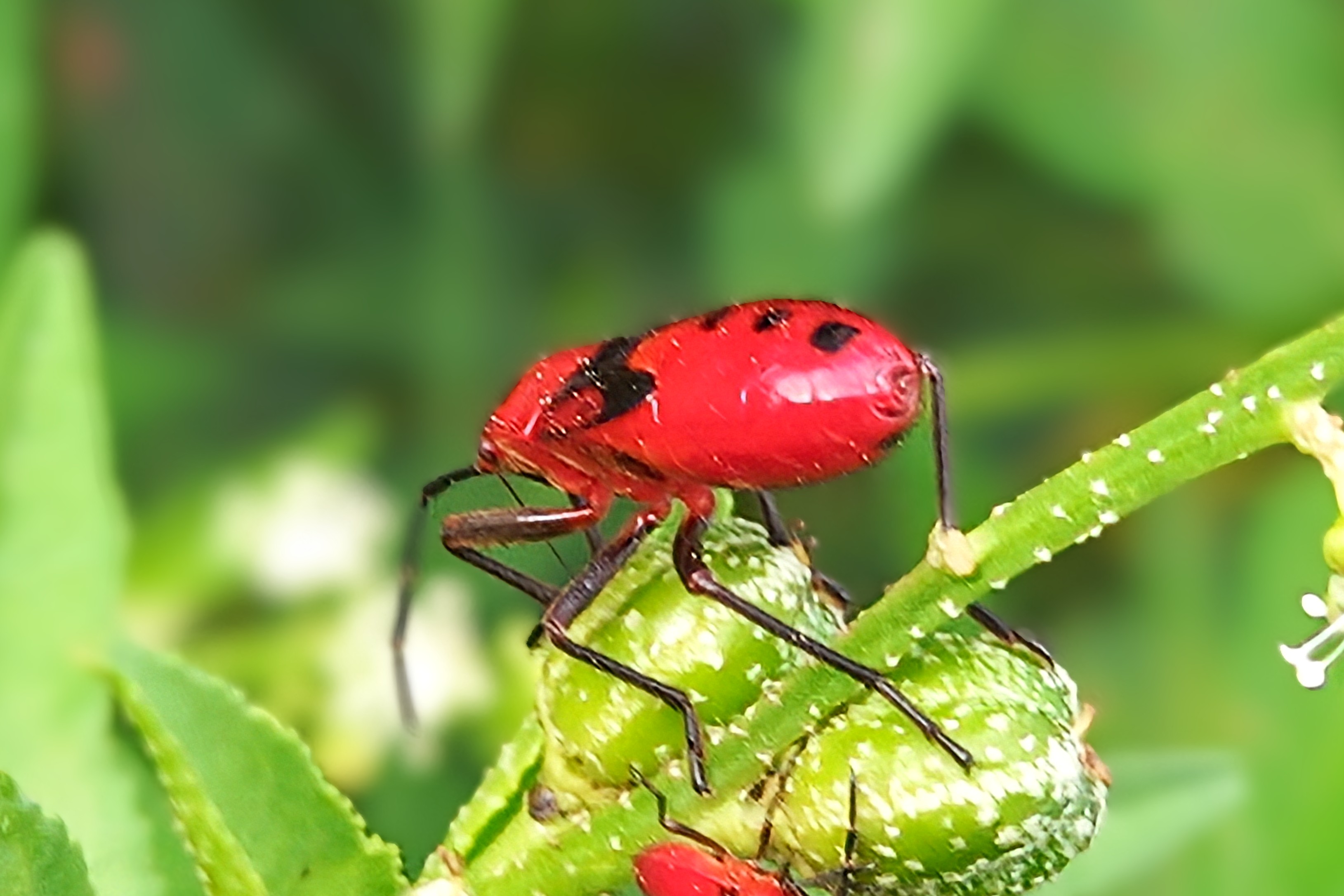 20250725_071435~2.jpg