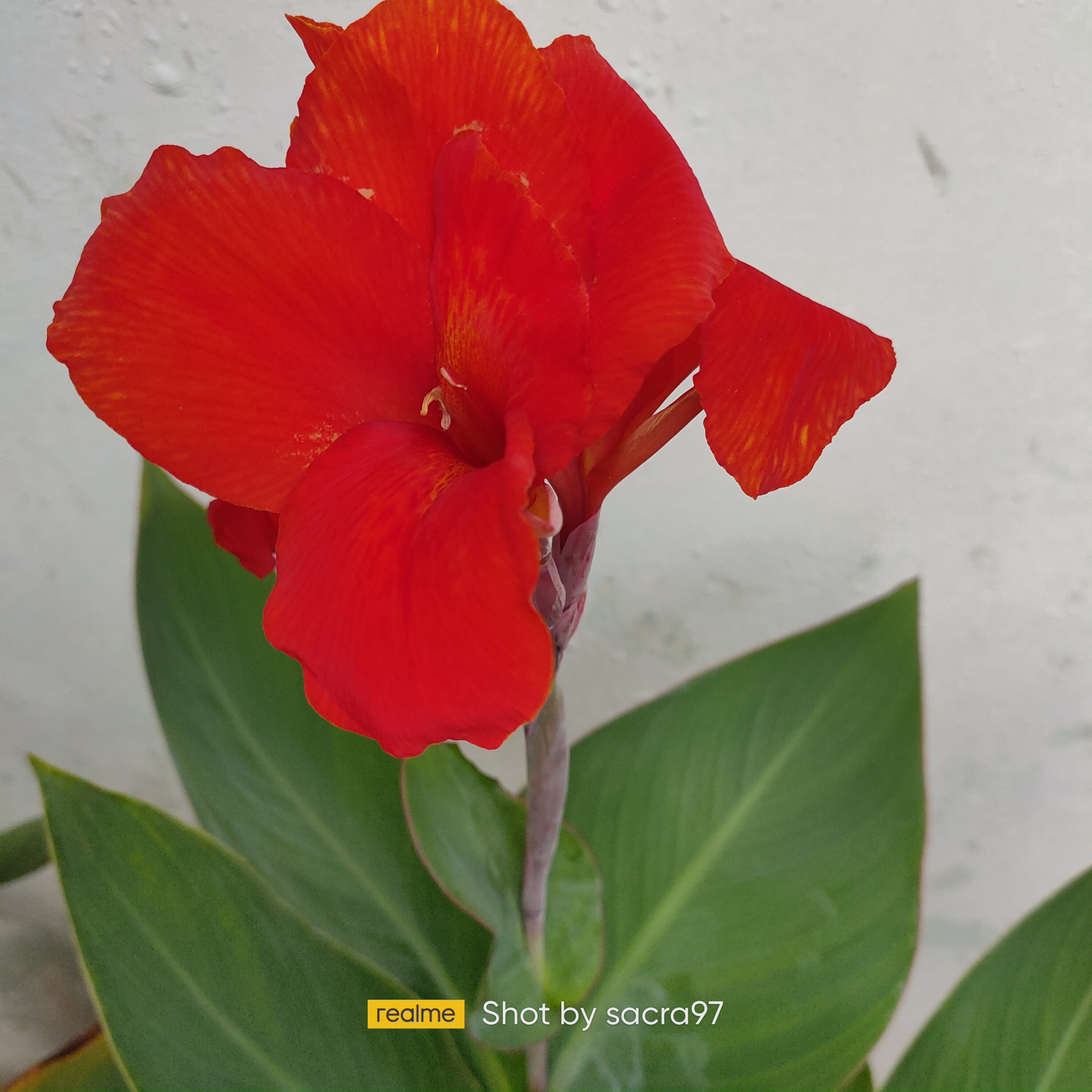 IMG20221104163813.jpg