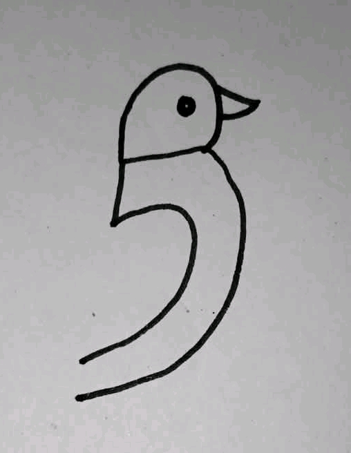 1752092664492_1.jpg