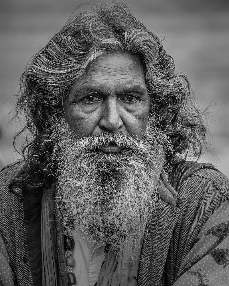 800px-Bearded_man_with_long_hair-3052641 (1).jpg