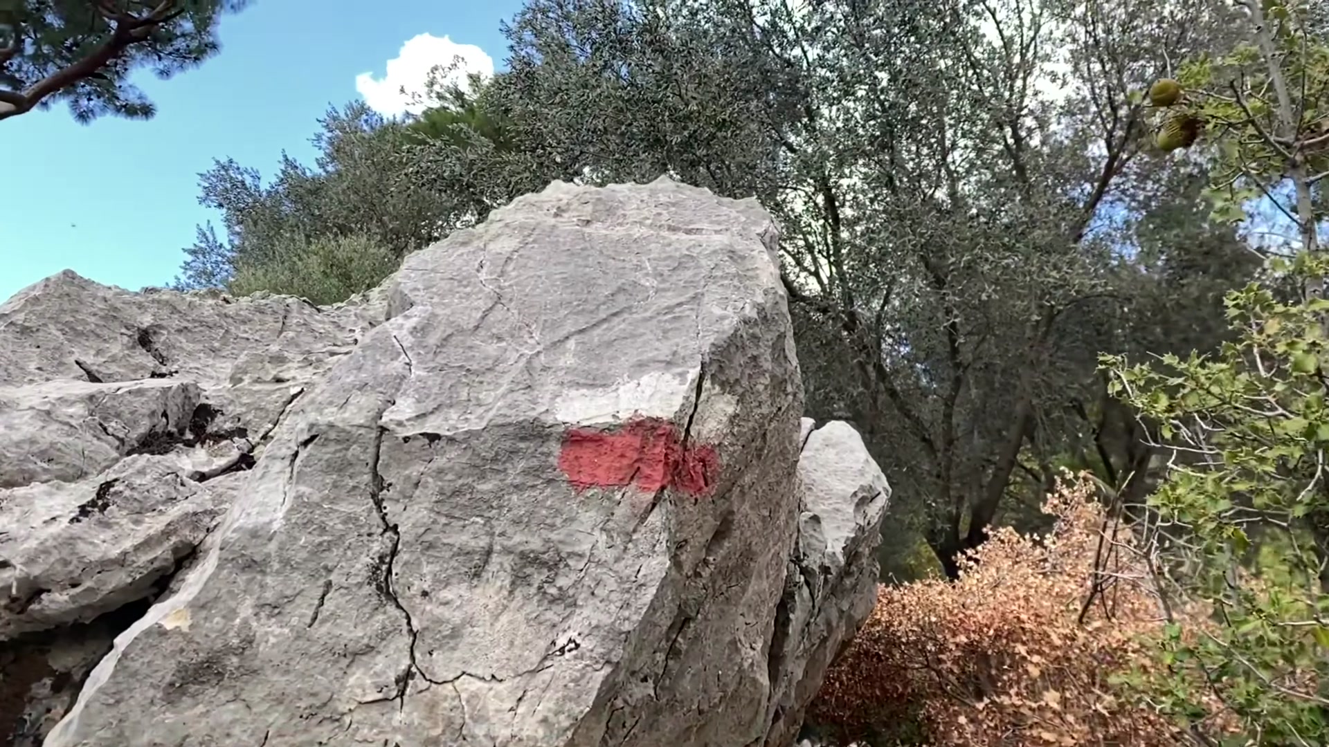 308.jpg