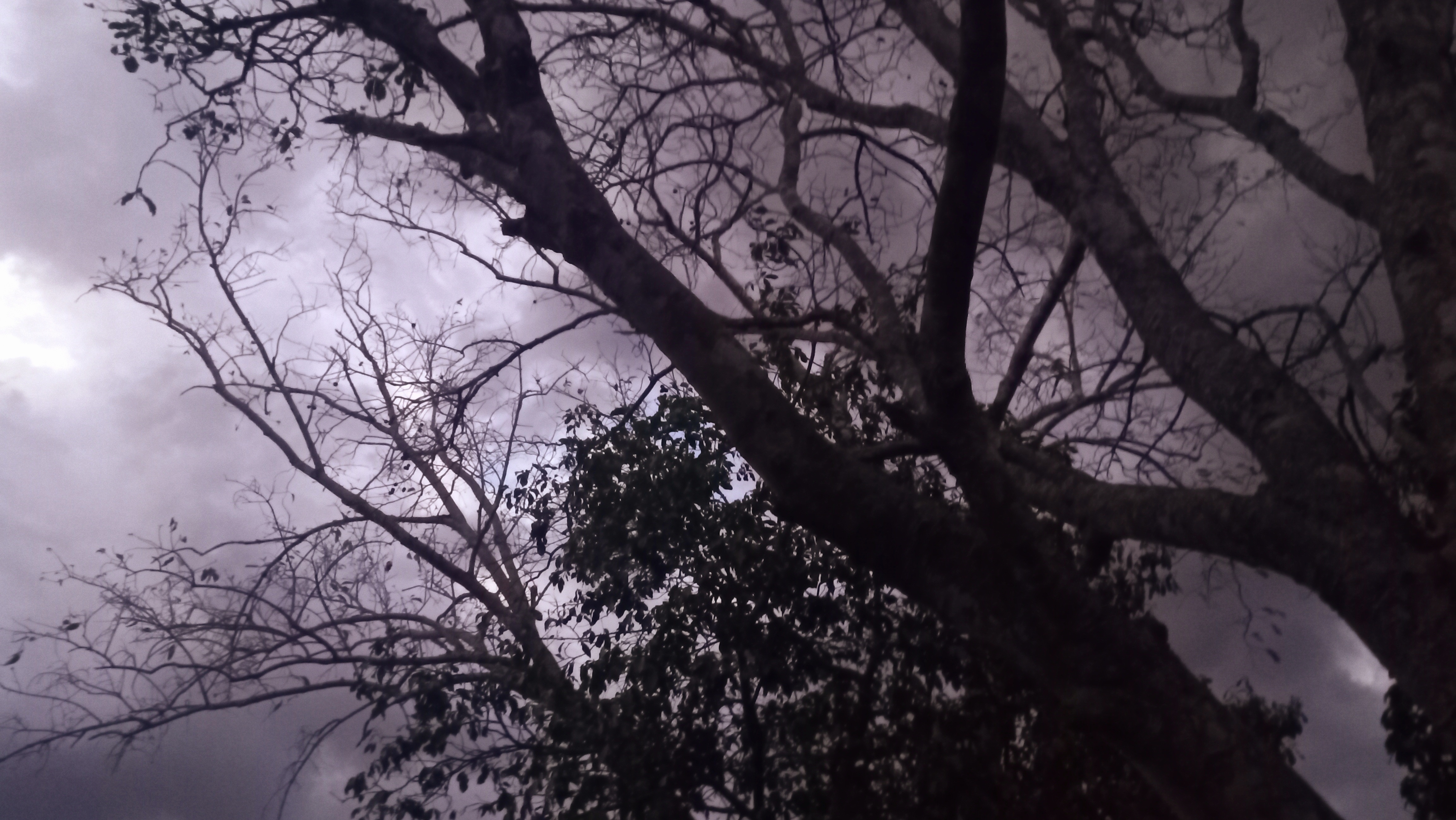 20250417_184540.jpg